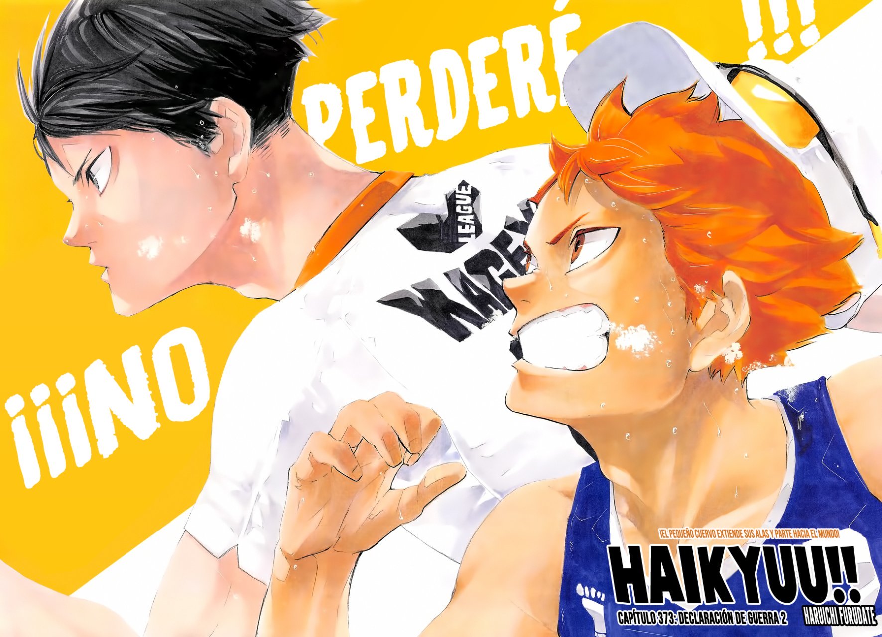 Read Haikyuu ES Manga Online