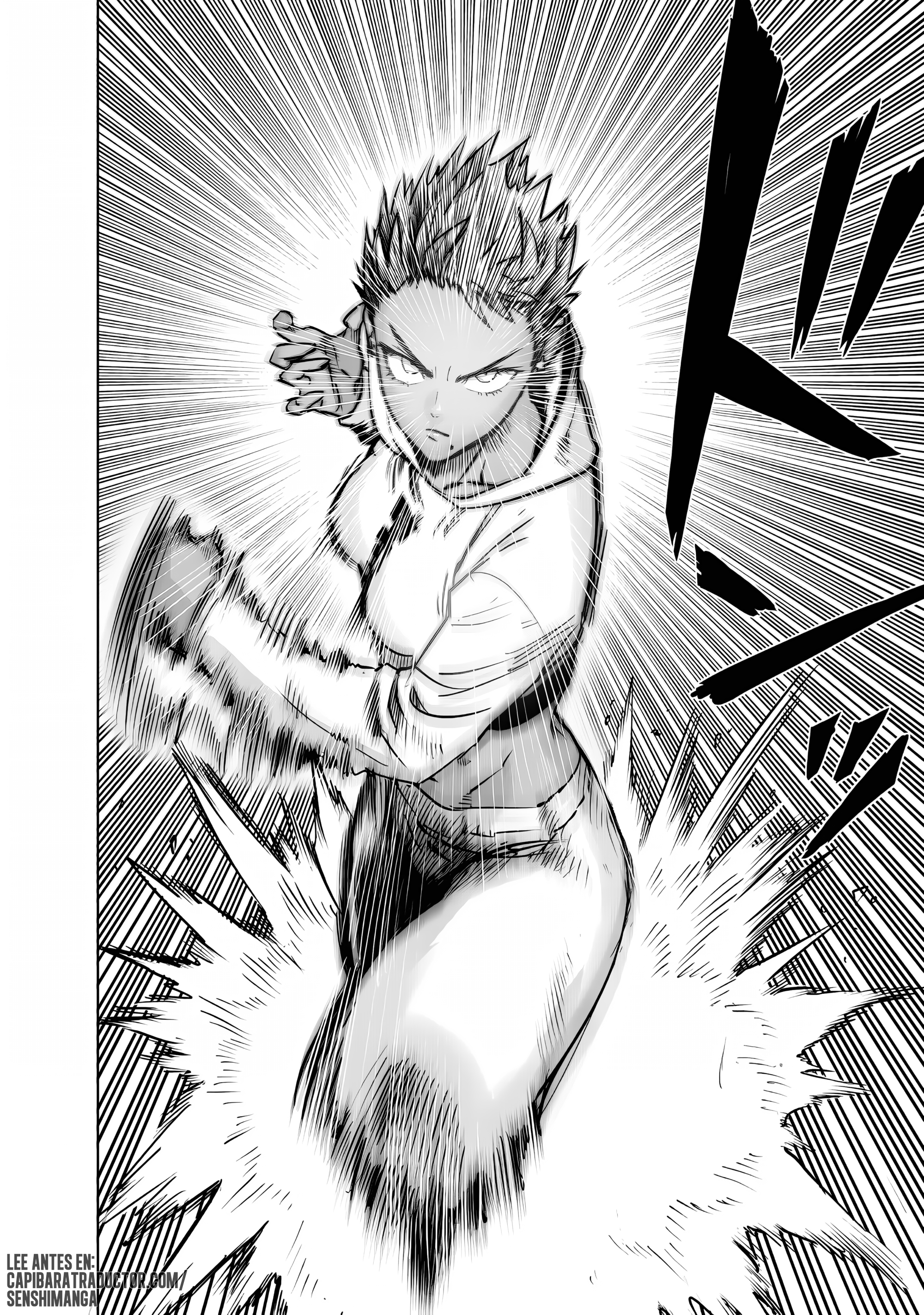 Read One Punch Man ES Manga Online