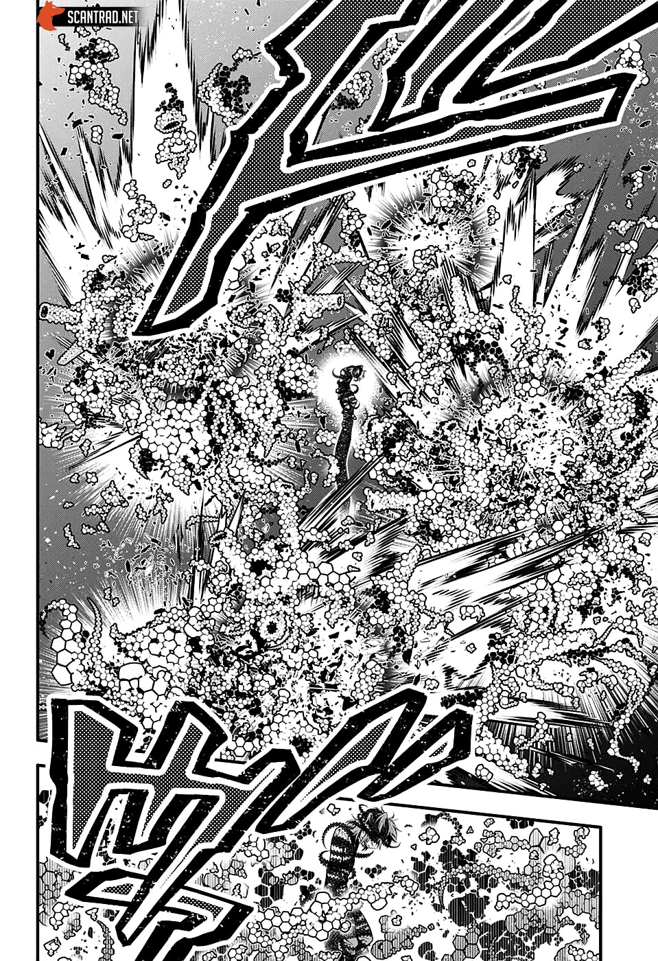 Read D Gray Man FR Manga Online