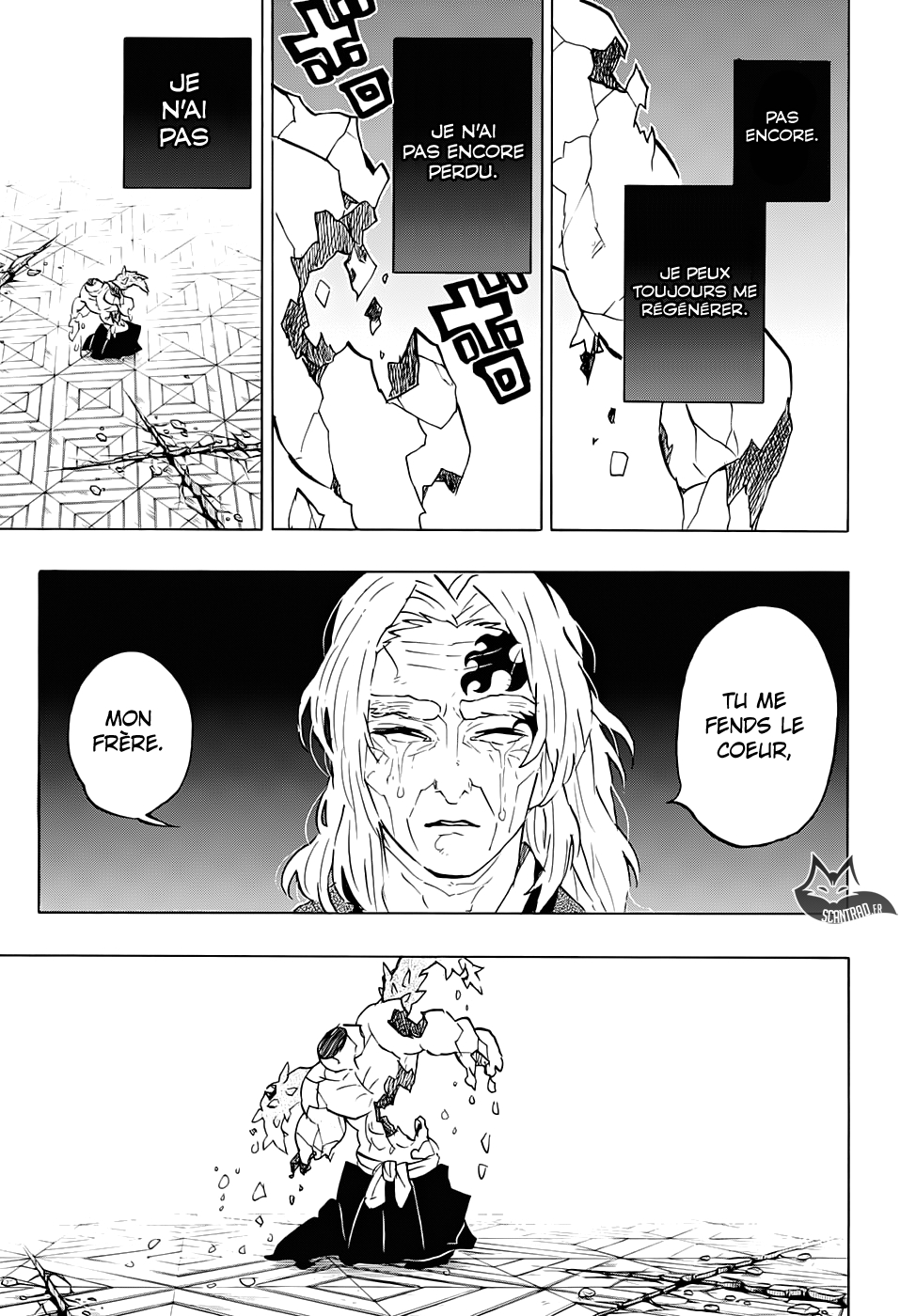 Read Demon Slayer FR Manga Online