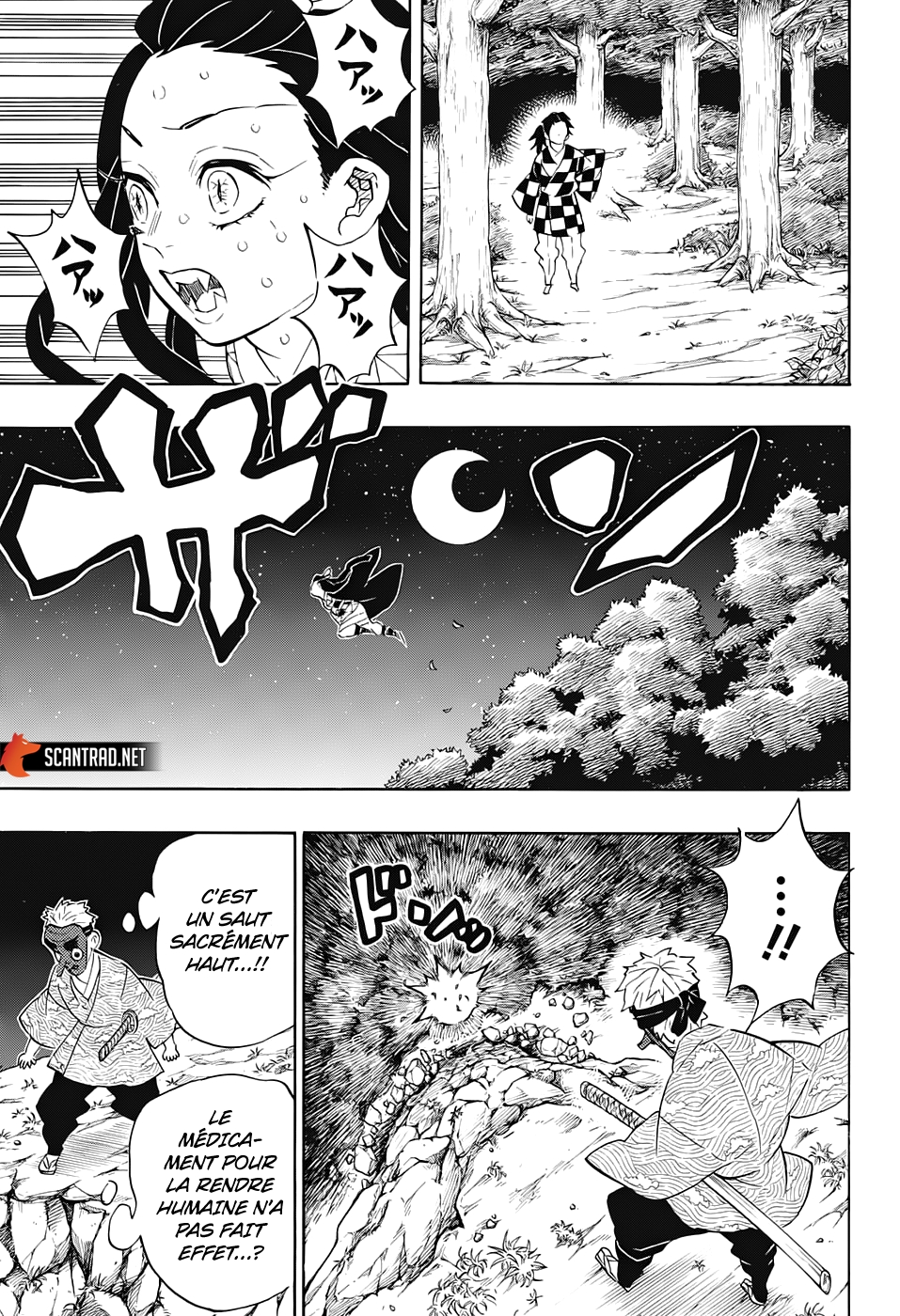 Read Demon Slayer FR Manga Online