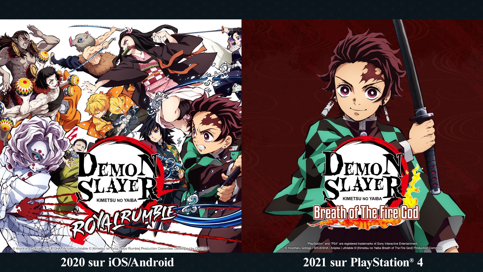 Read Demon Slayer FR Manga Online