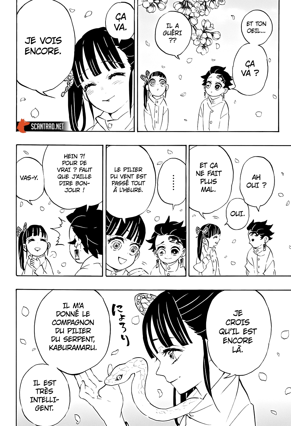 Read Demon Slayer FR Manga Online