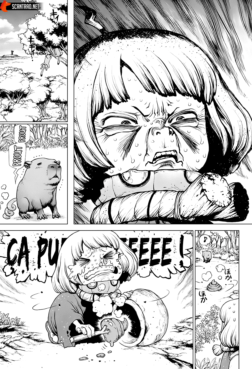 Read Dr Stone FR Manga Online