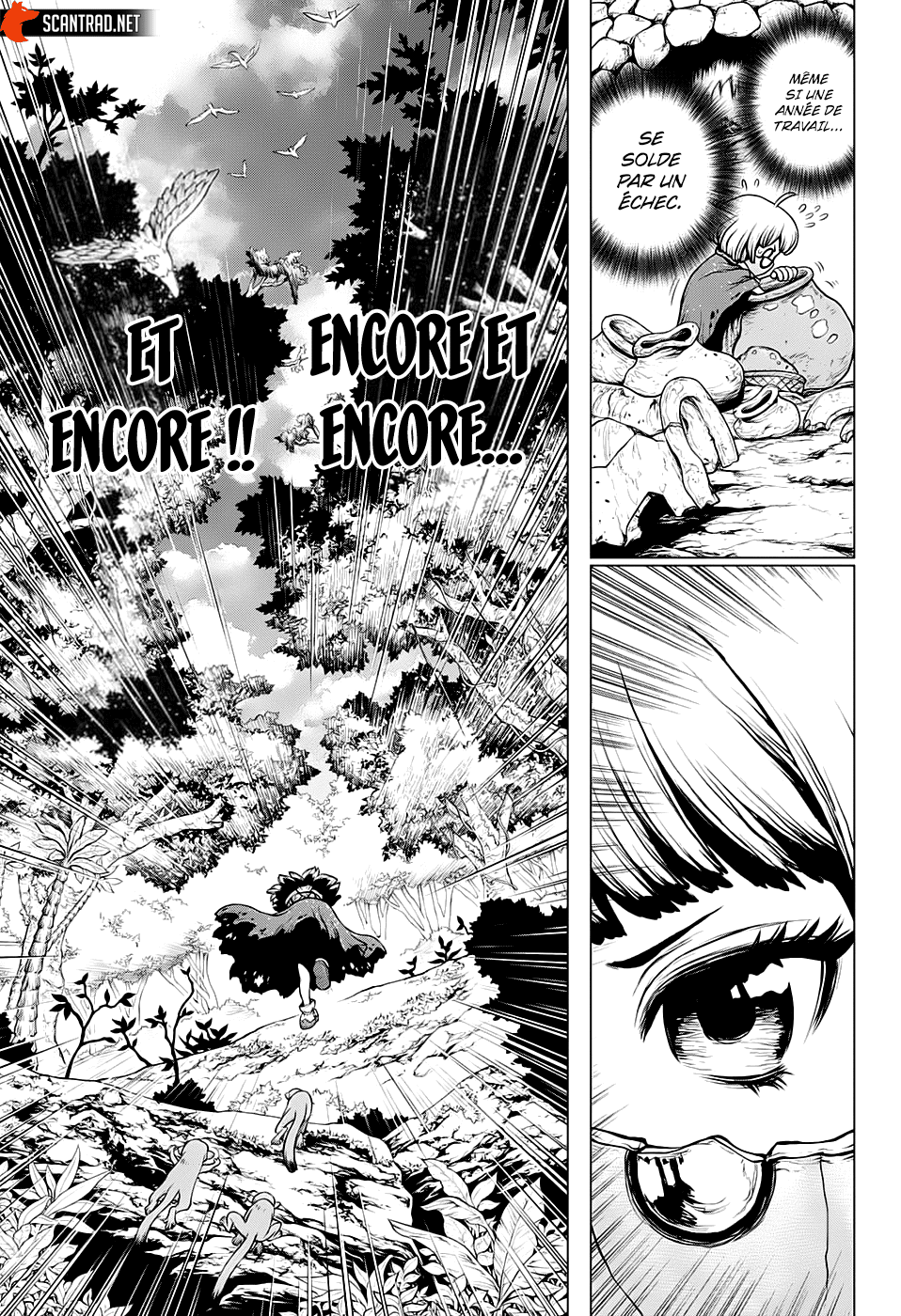 Read Dr Stone FR Manga Online