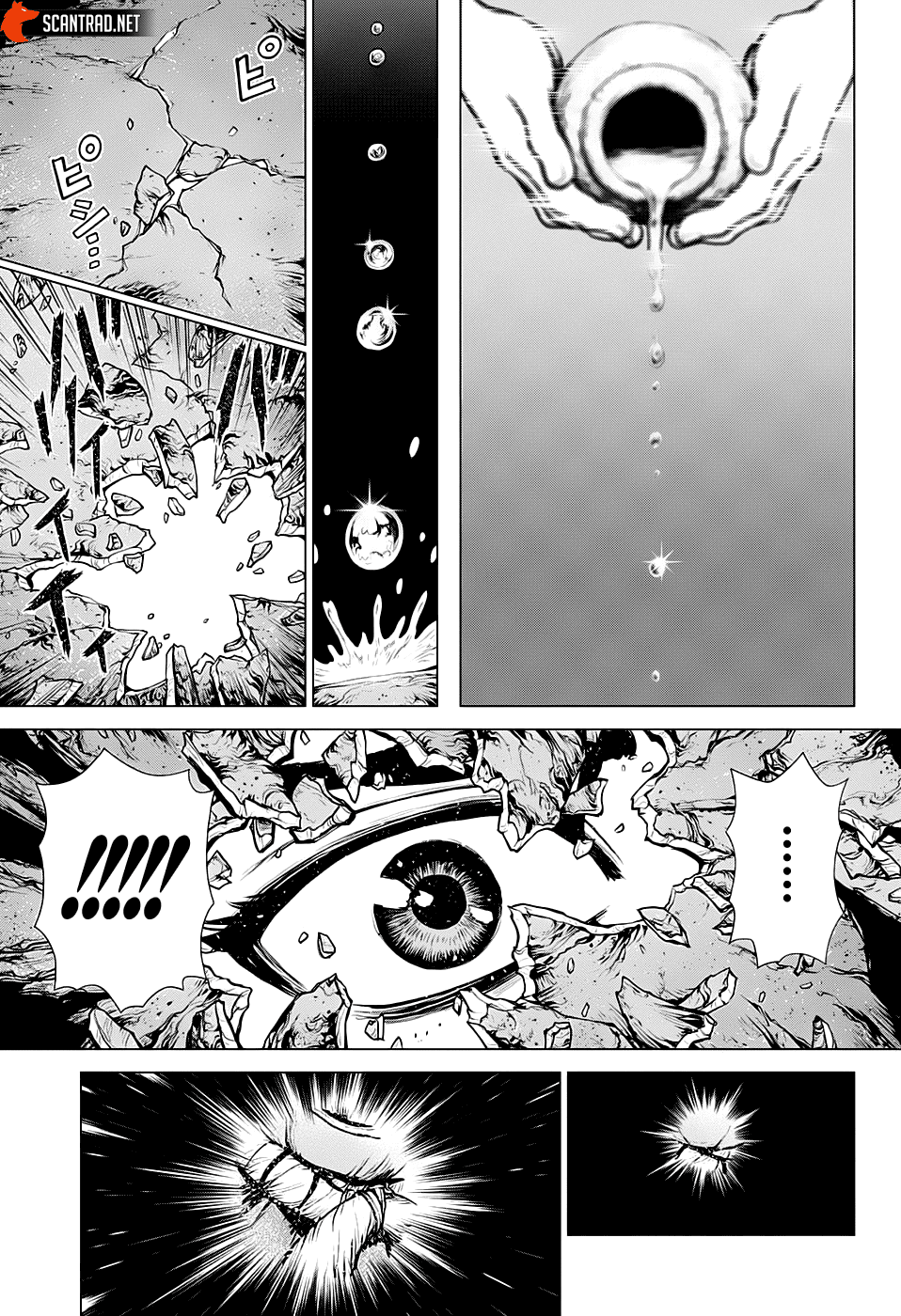 Read Dr Stone FR Manga Online
