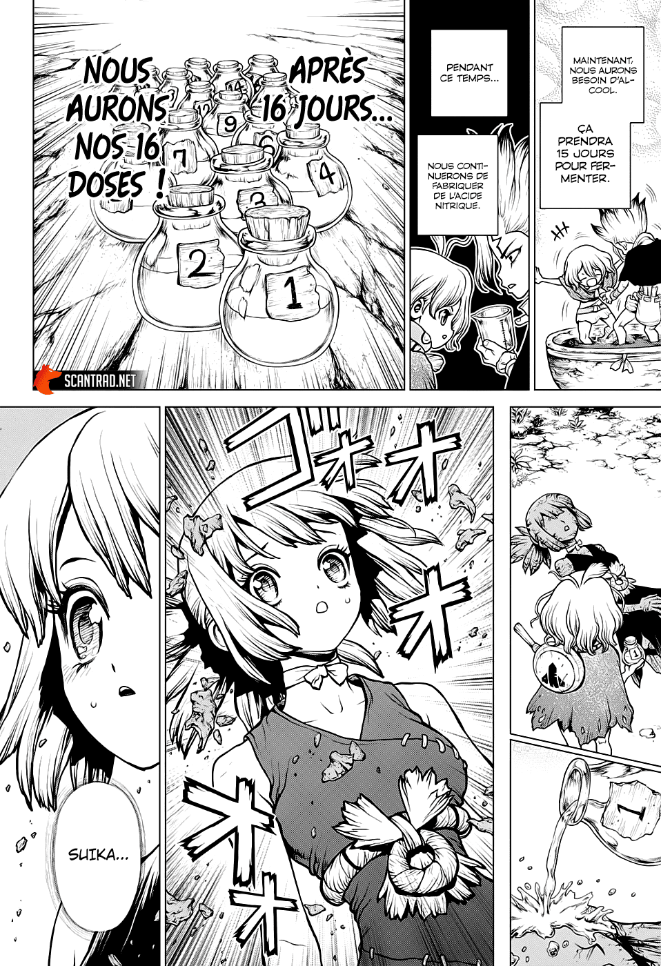 Read Dr Stone FR Manga Online