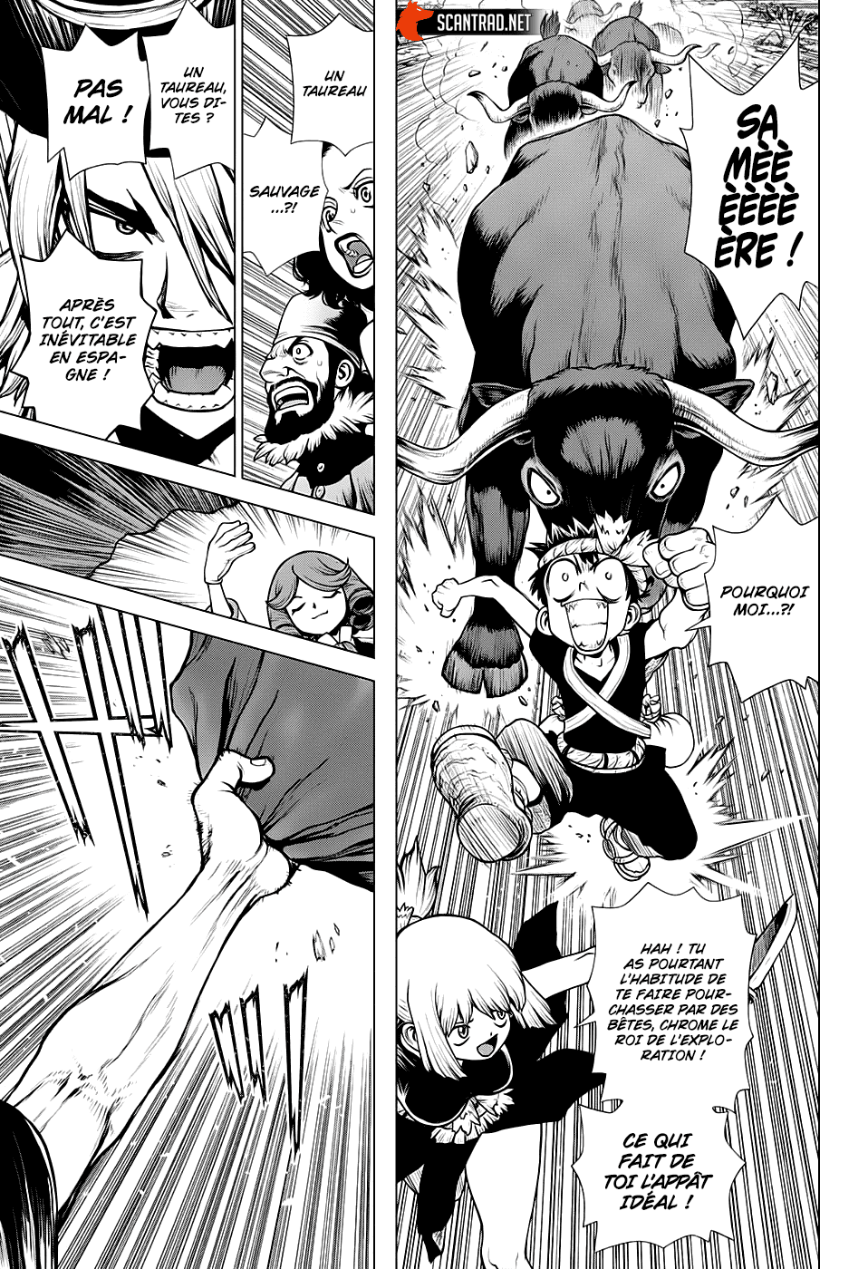 Read Dr Stone FR Manga Online