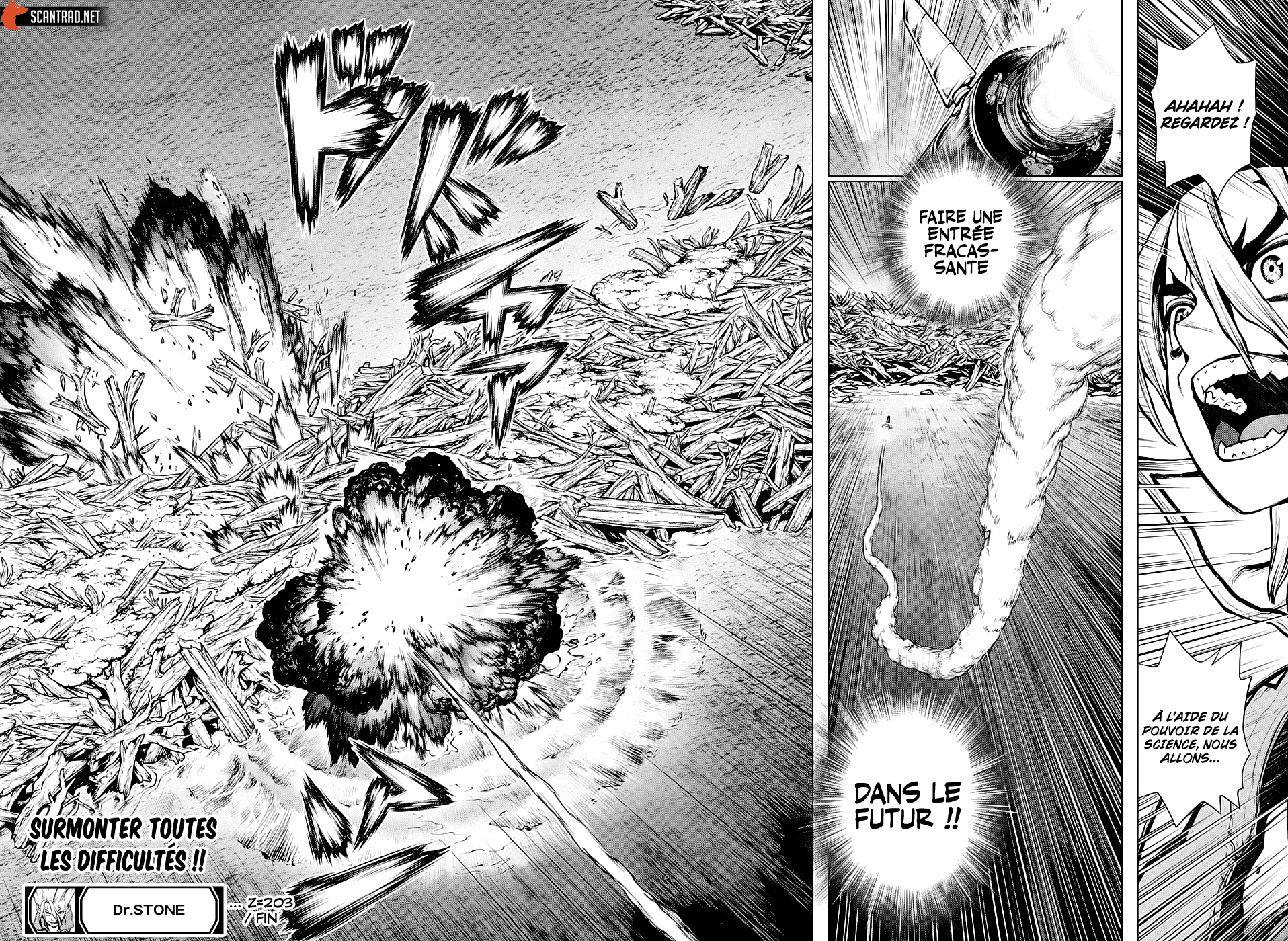 Read Dr Stone FR Manga Online