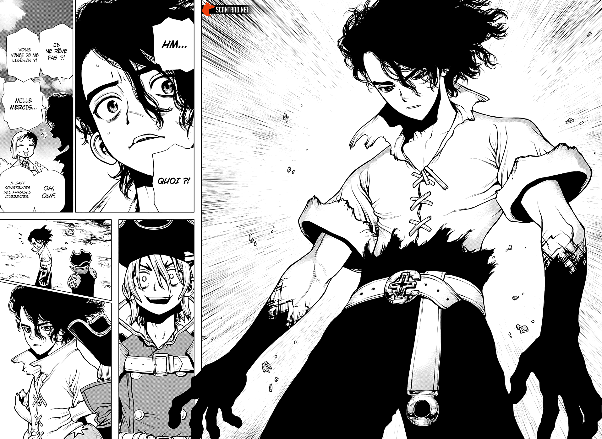 Read Dr Stone FR Manga Online