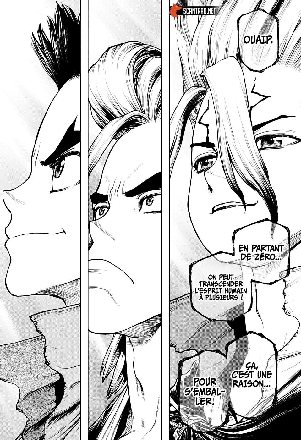 Read Dr Stone FR Manga Online