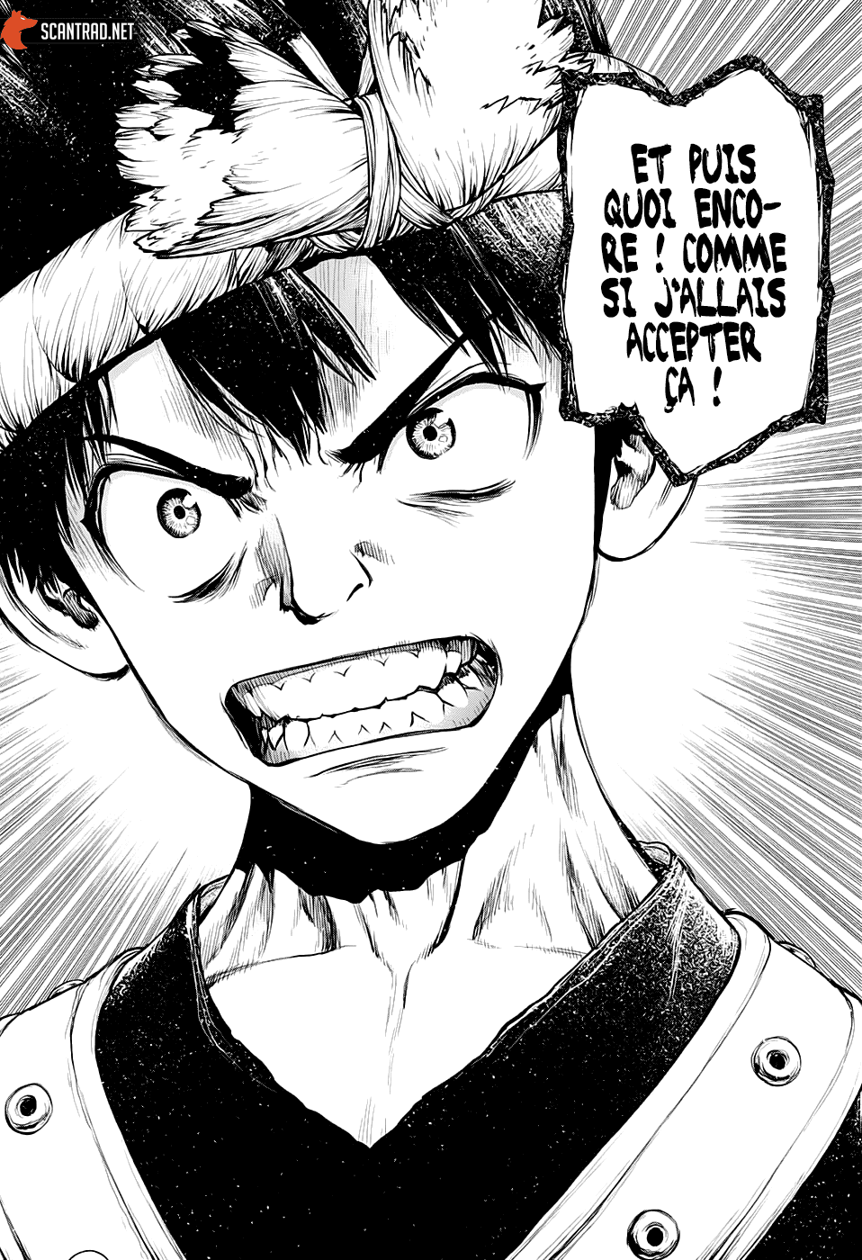 Read Dr Stone FR Manga Online