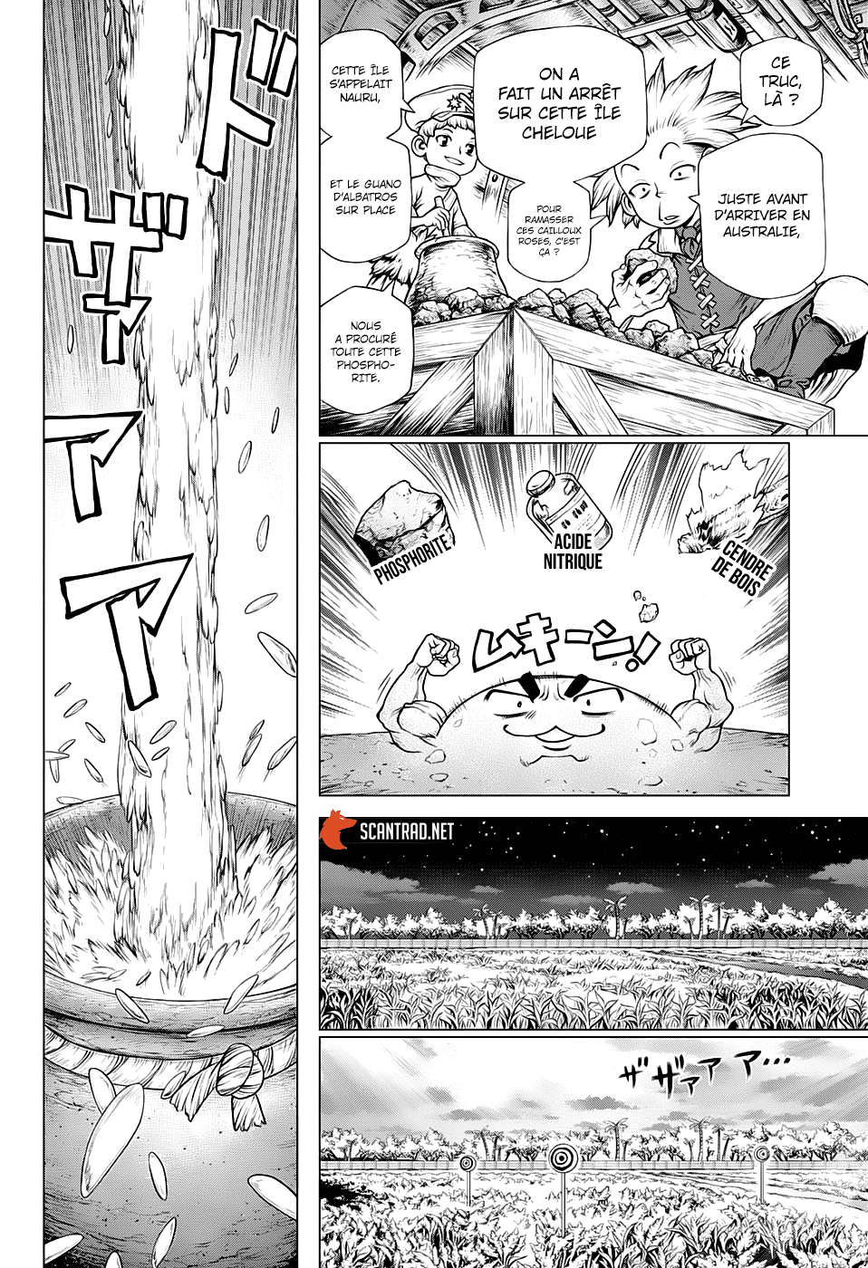 Read Dr Stone FR Manga Online