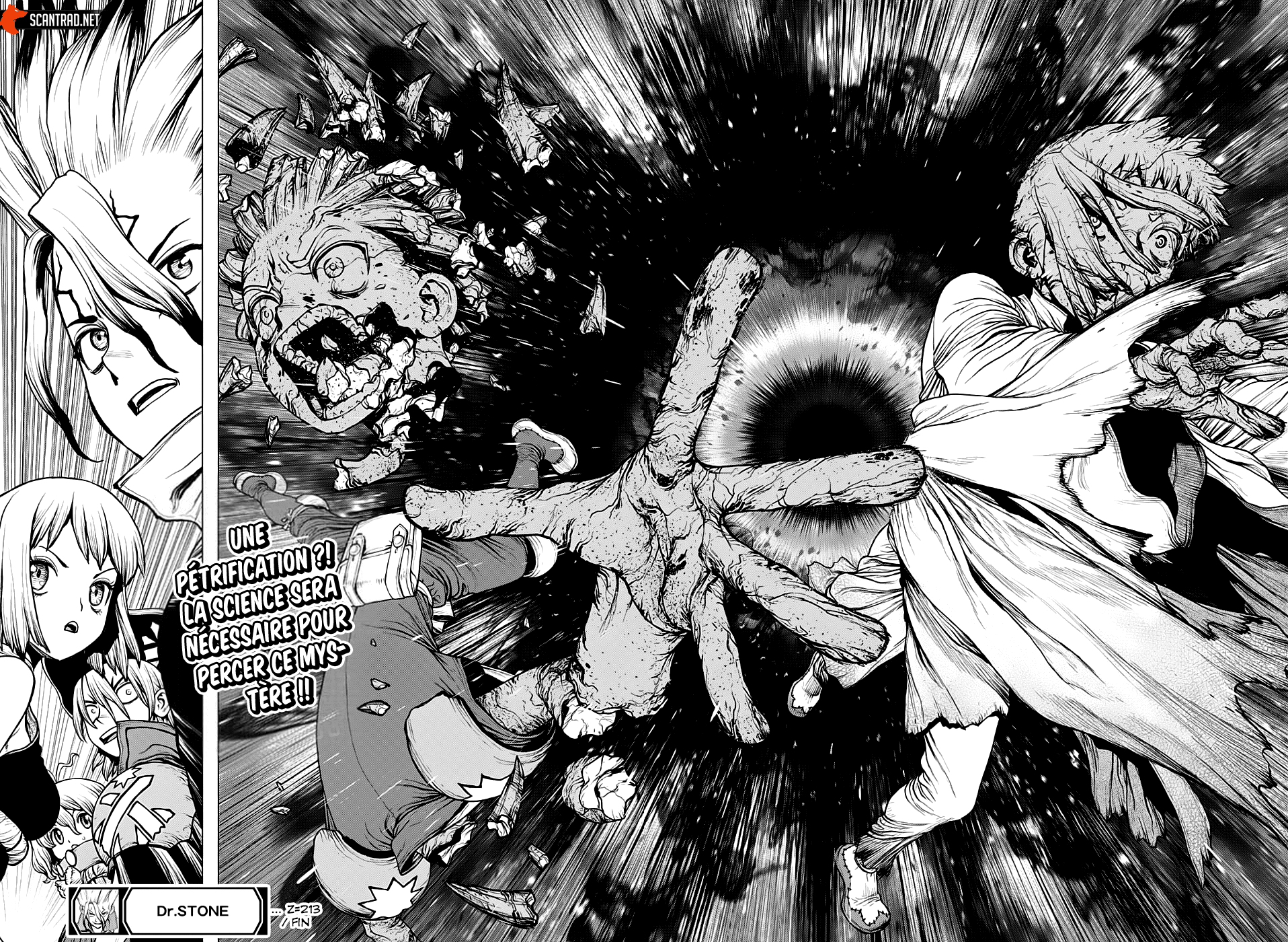 Read Dr Stone FR Manga Online