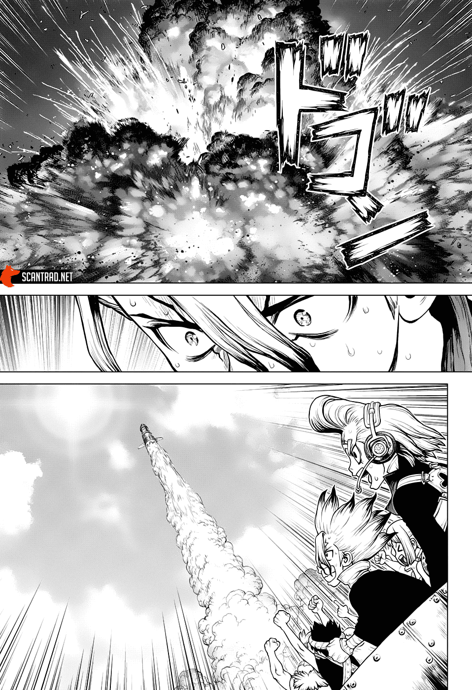 Read Dr Stone FR Manga Online