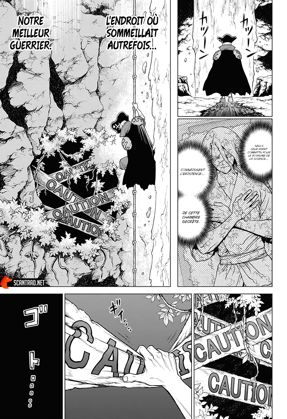 Read Dr Stone FR Manga Online