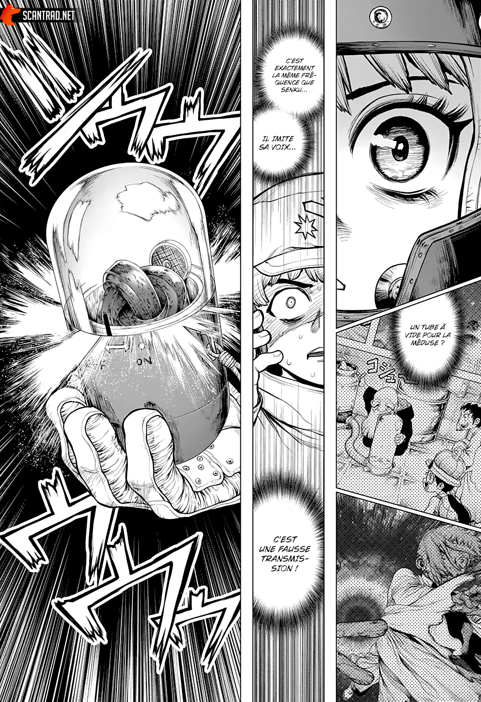 Read Dr Stone FR Manga Online