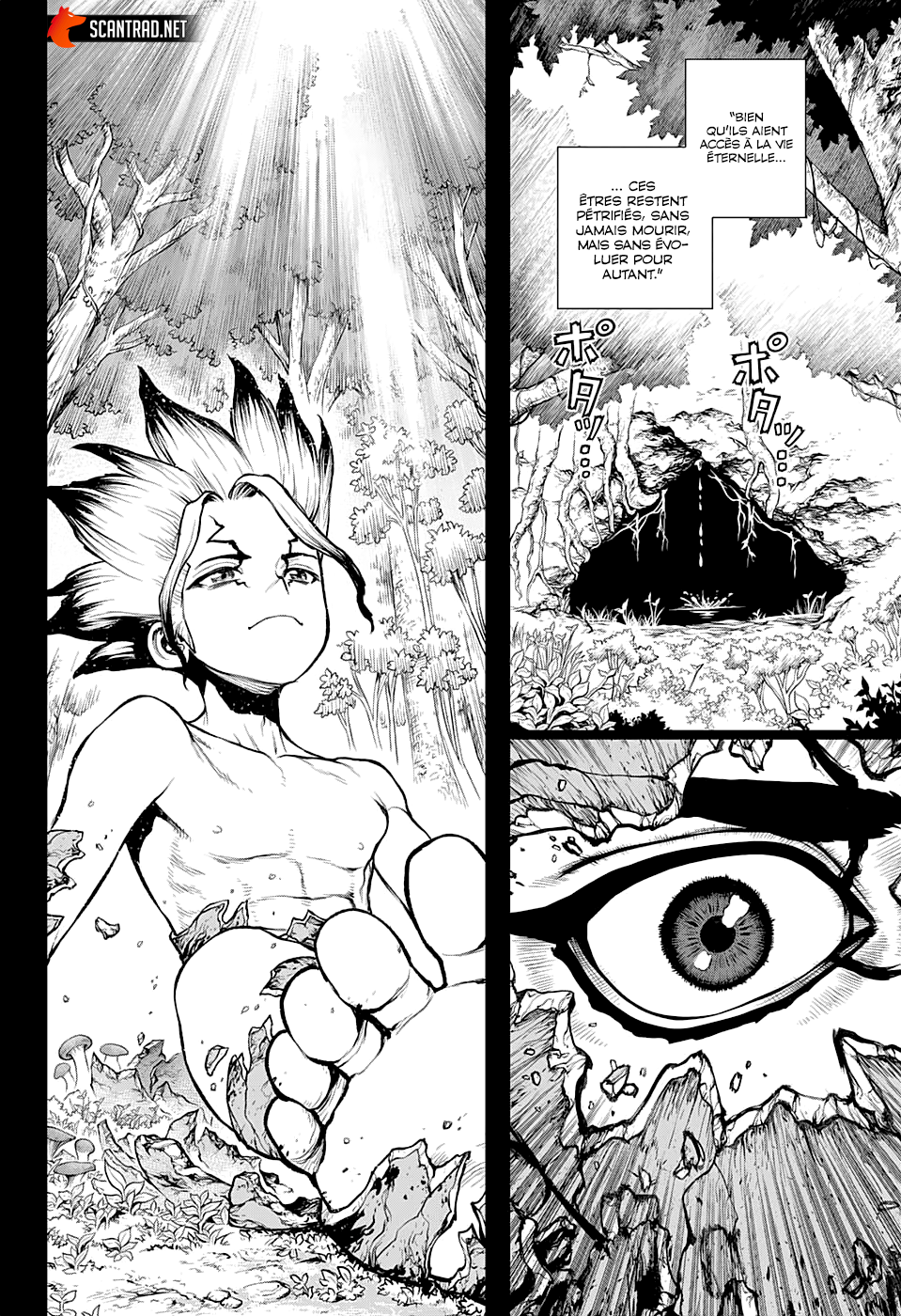 Read Dr Stone FR Manga Online