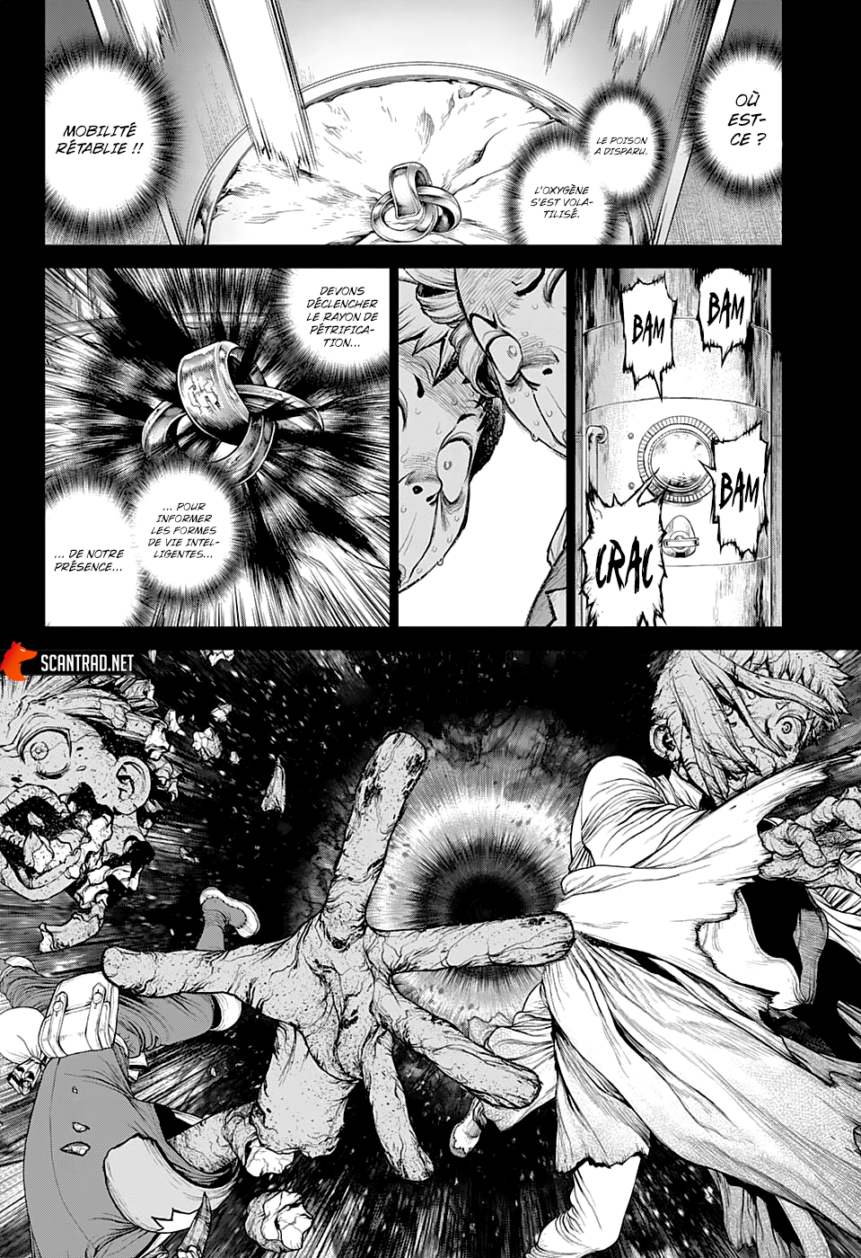 Read Dr Stone FR Manga Online