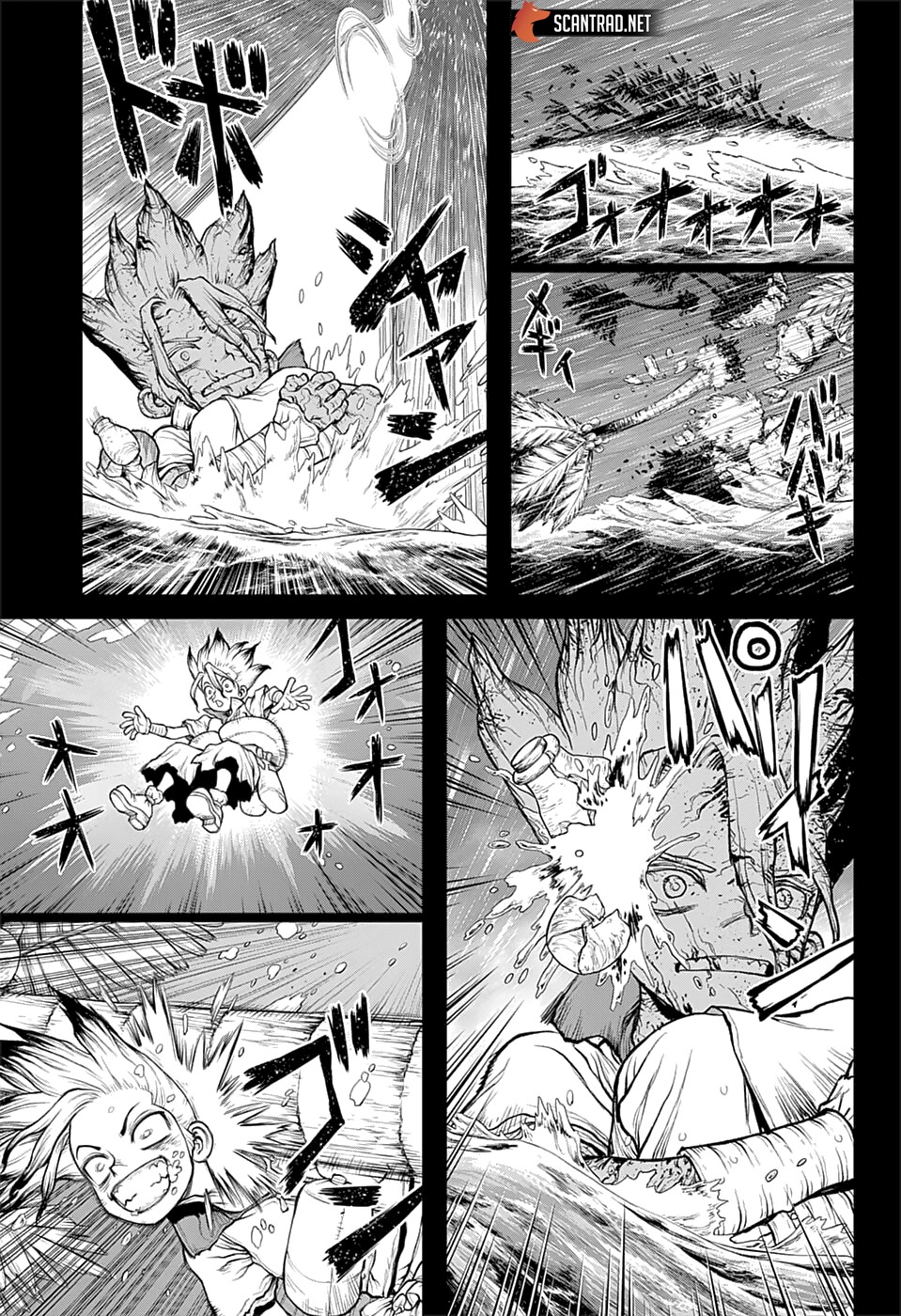 Read Dr Stone FR Manga Online