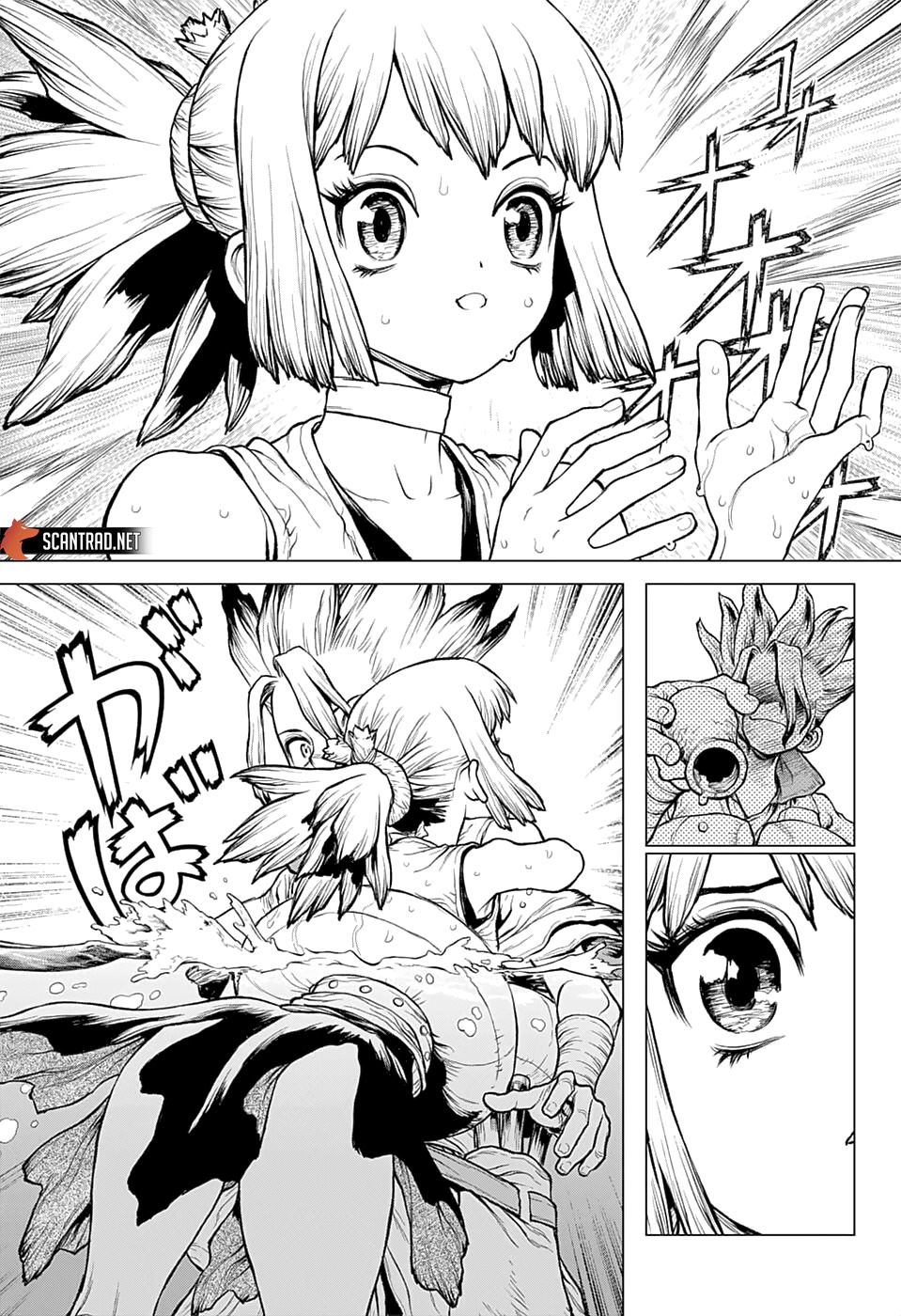 Read Dr Stone FR Manga Online