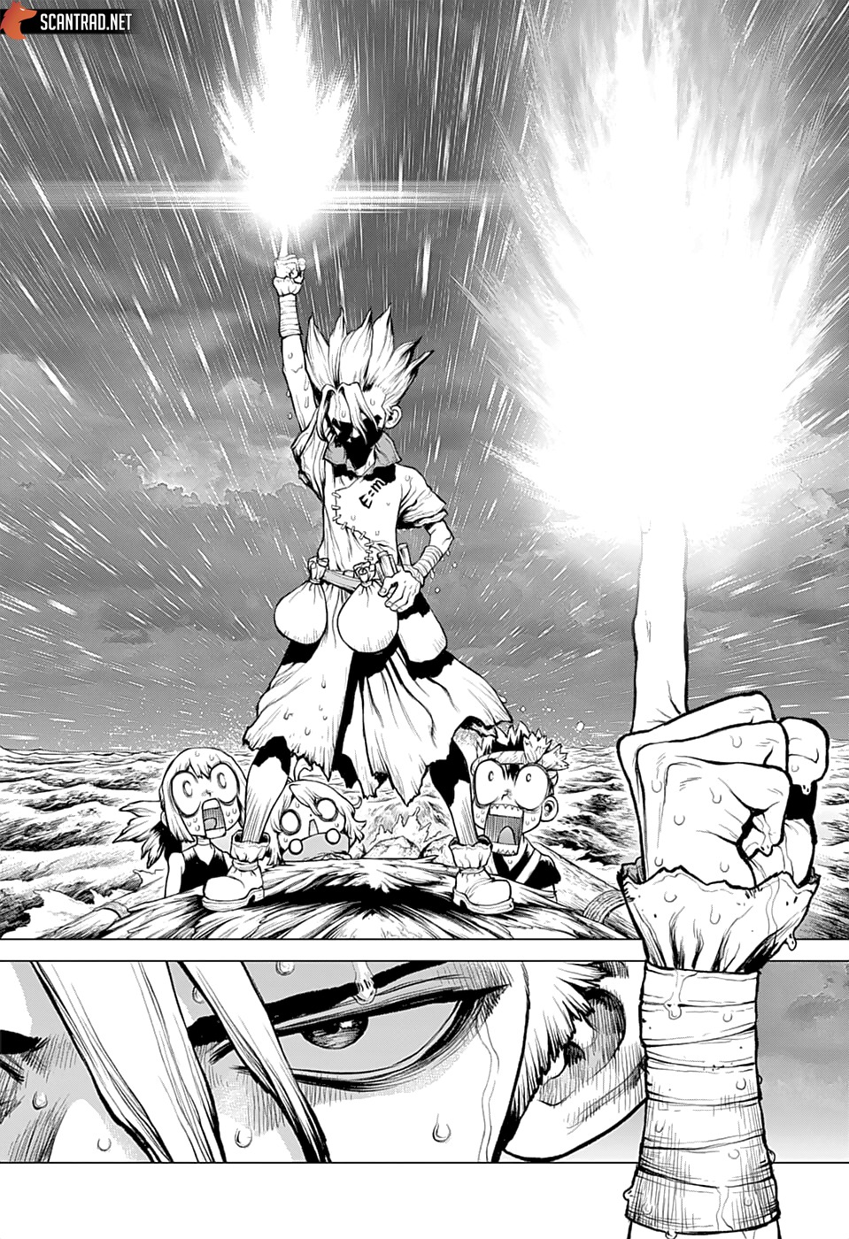 Read Dr Stone FR Manga Online