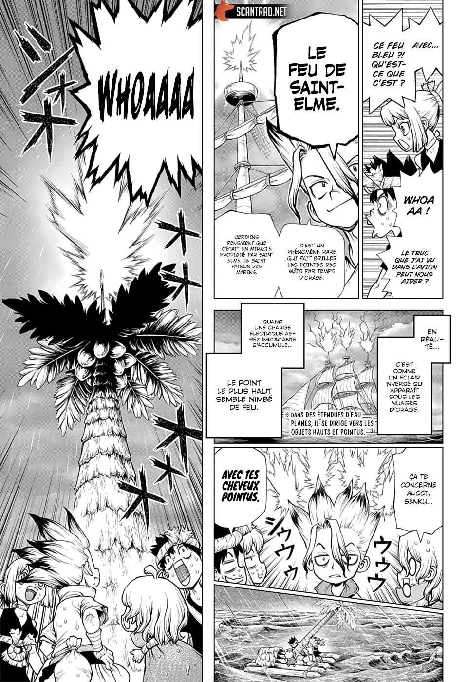 Read Dr Stone FR Manga Online