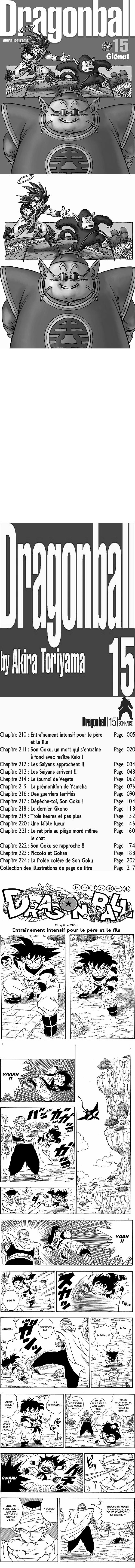 Read Dragon Ball FR Manga Online