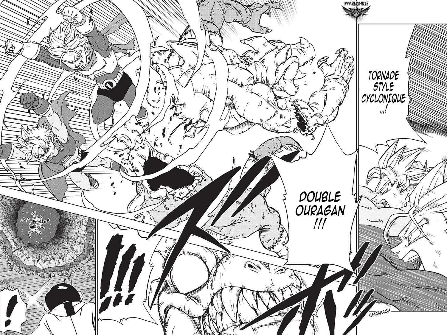 Read Dragon Ball Super FR Manga Online