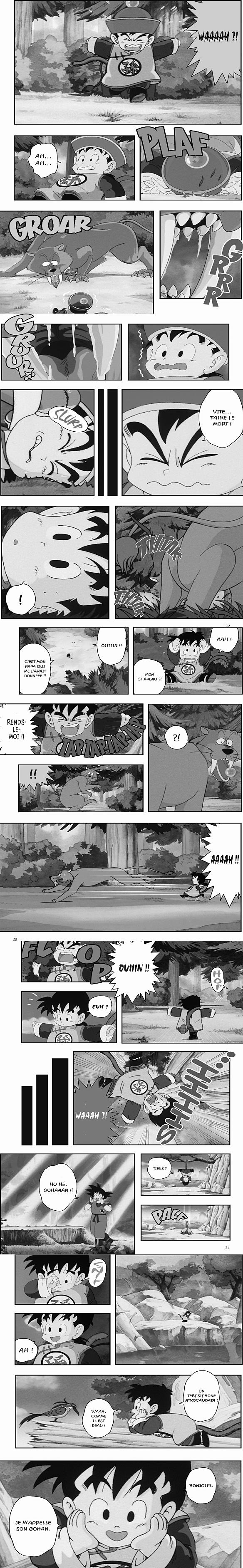 Read Dragon Ball Z FR Manga Online