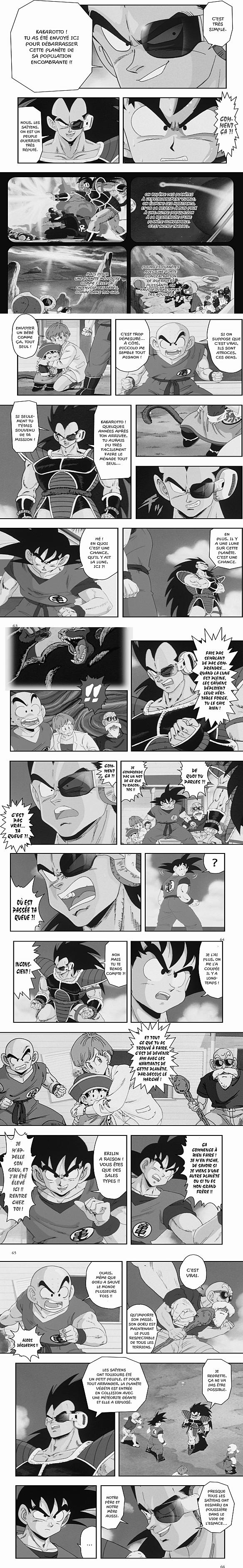 Read Dragon Ball Z FR Manga Online