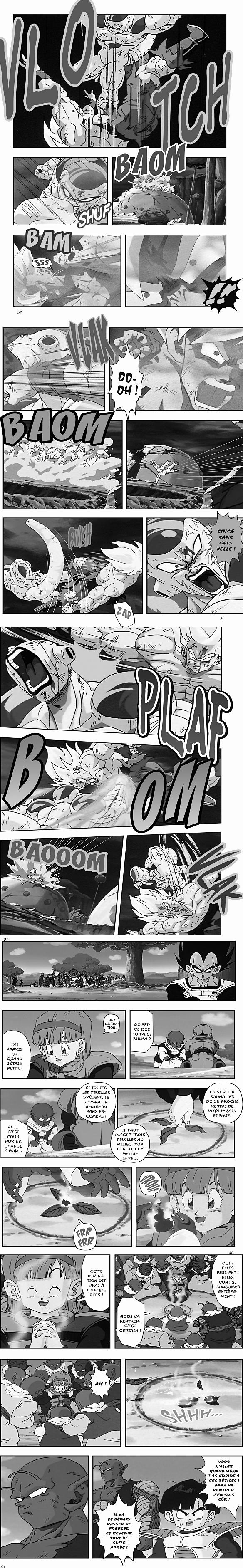 Read Dragon Ball Z FR Manga Online