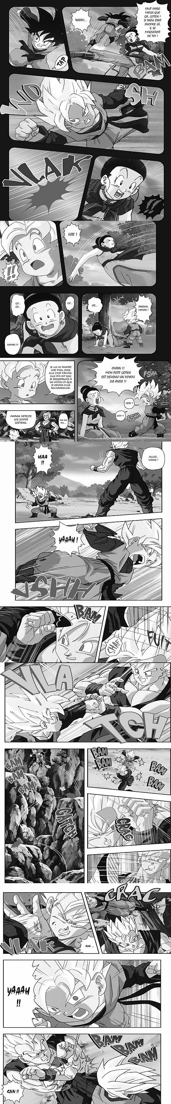 Read Dragon Ball Z FR Manga Online