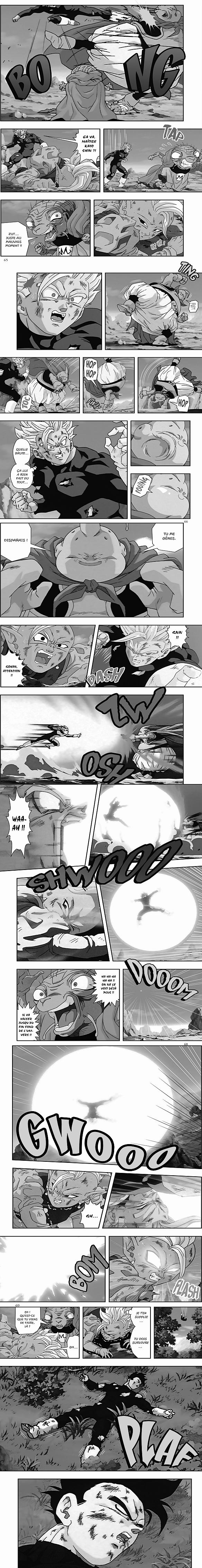 Read Dragon Ball Z FR Manga Online