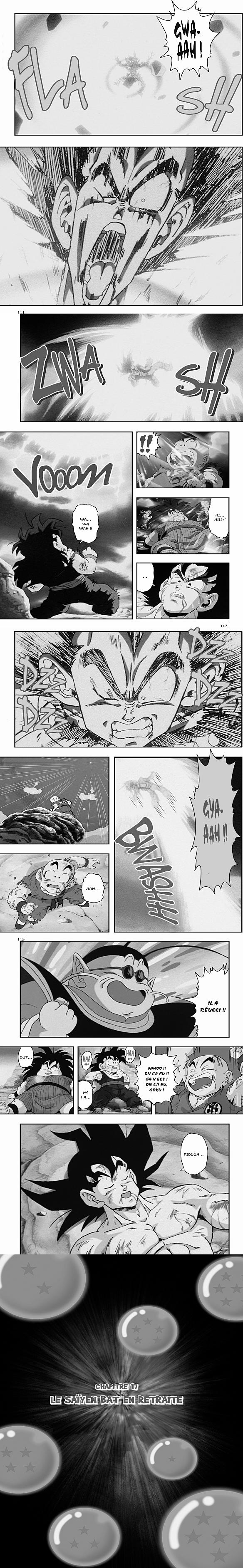Read Dragon Ball Z FR Manga Online