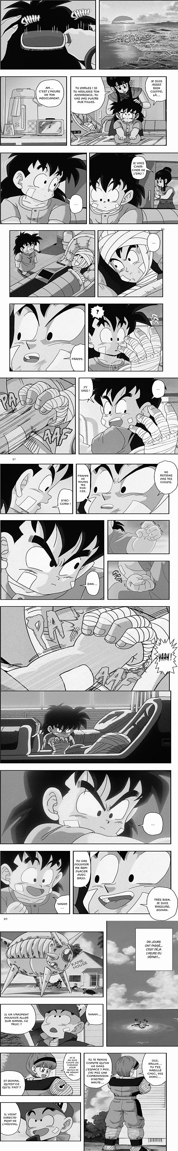 Read Dragon Ball Z FR Manga Online