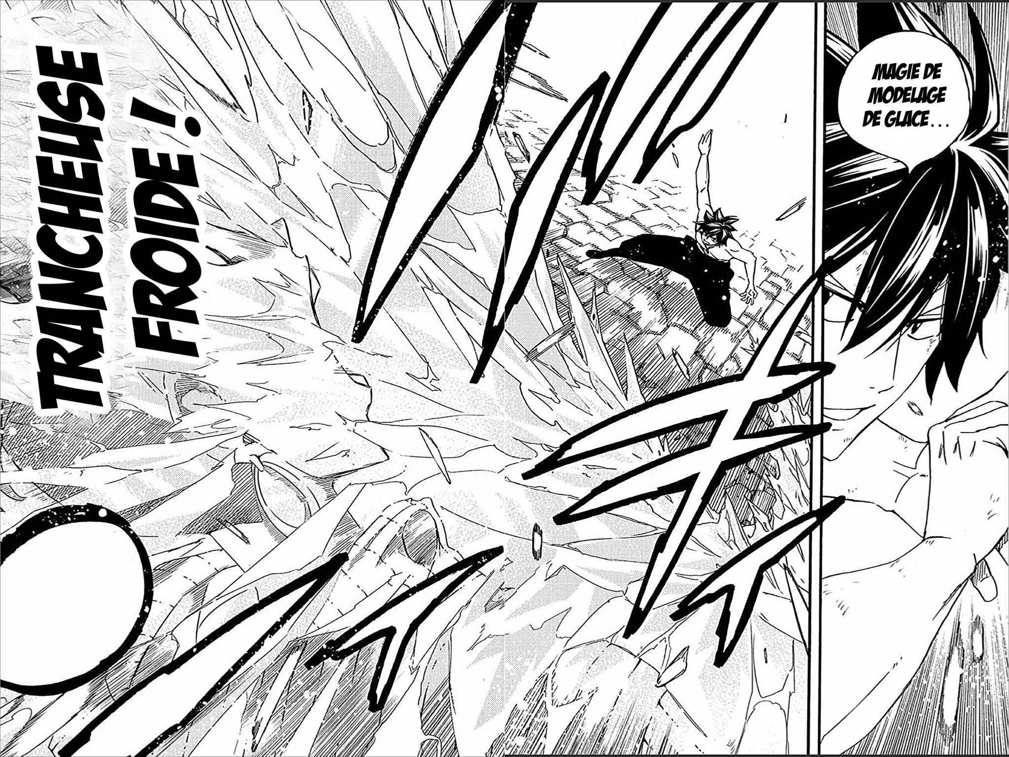 Read Fairy Tail 100 Years Quest FR Manga Online