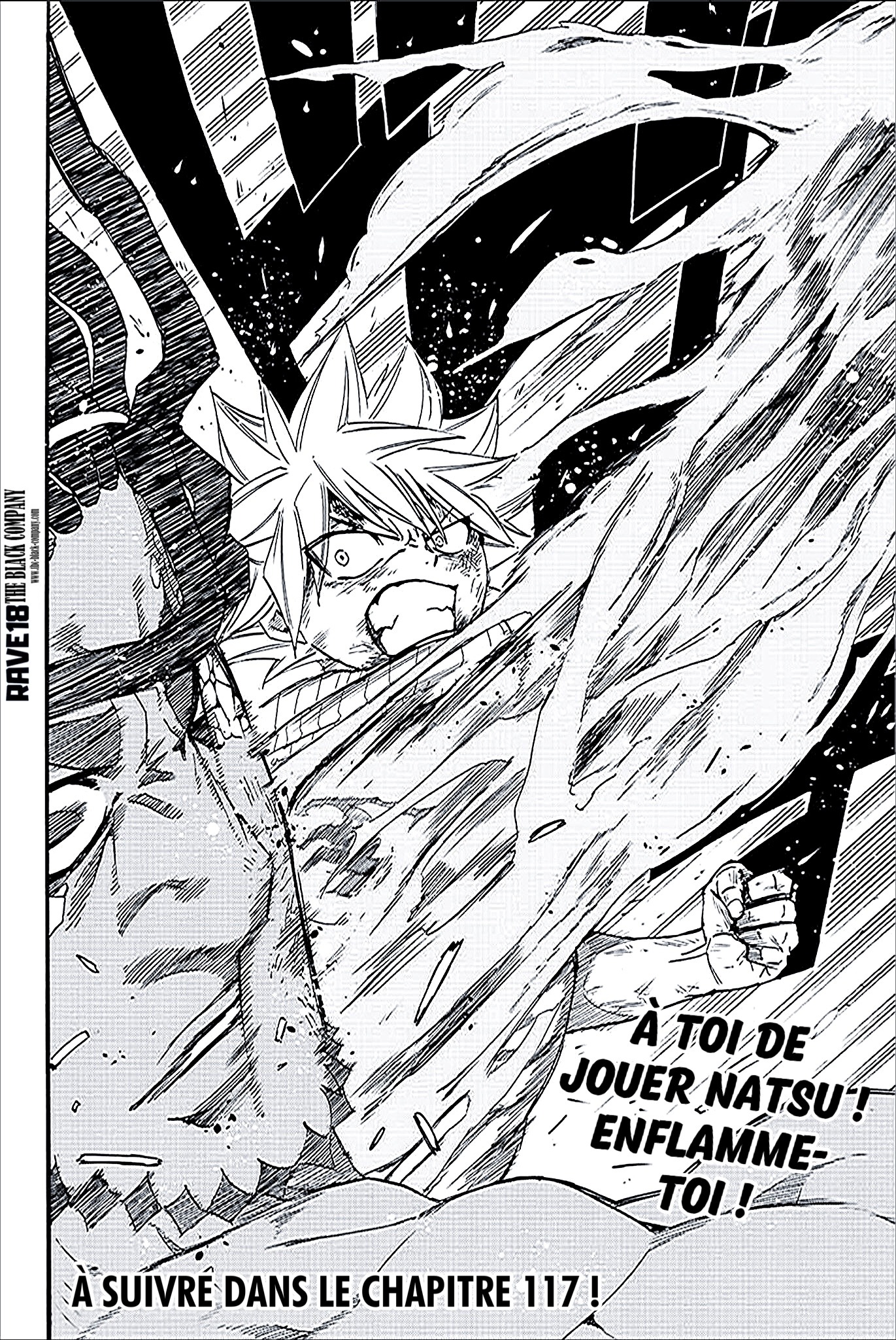 Read Fairy Tail 100 Years Quest FR Manga Online