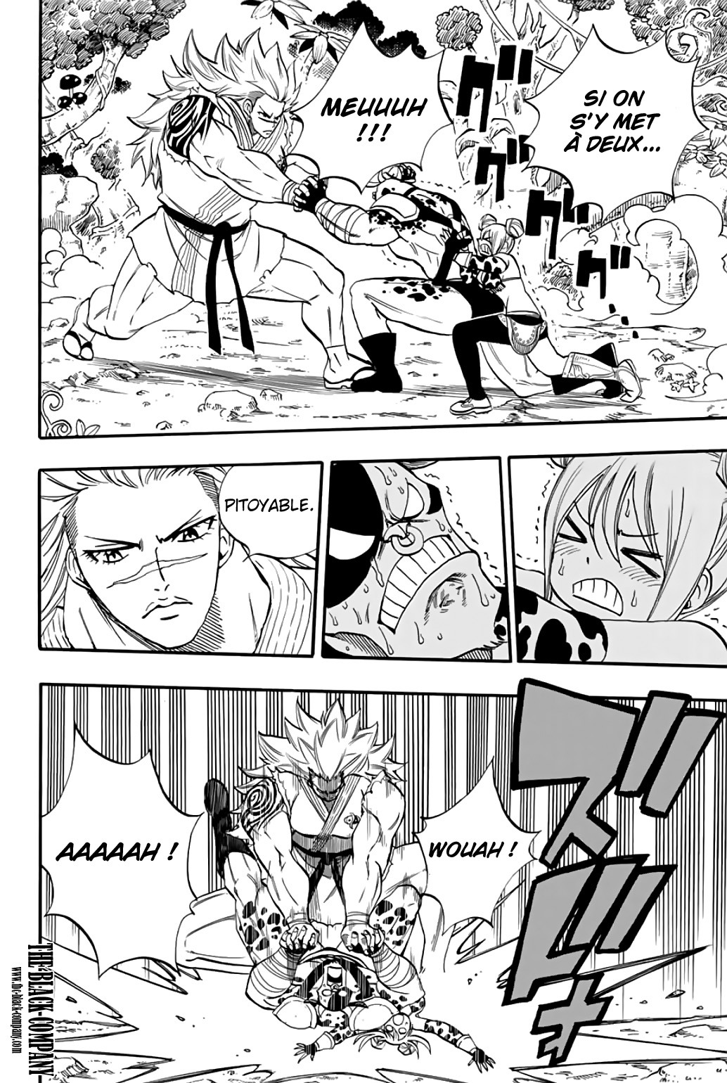 Read Fairy Tail 100 Years Quest FR Manga Online