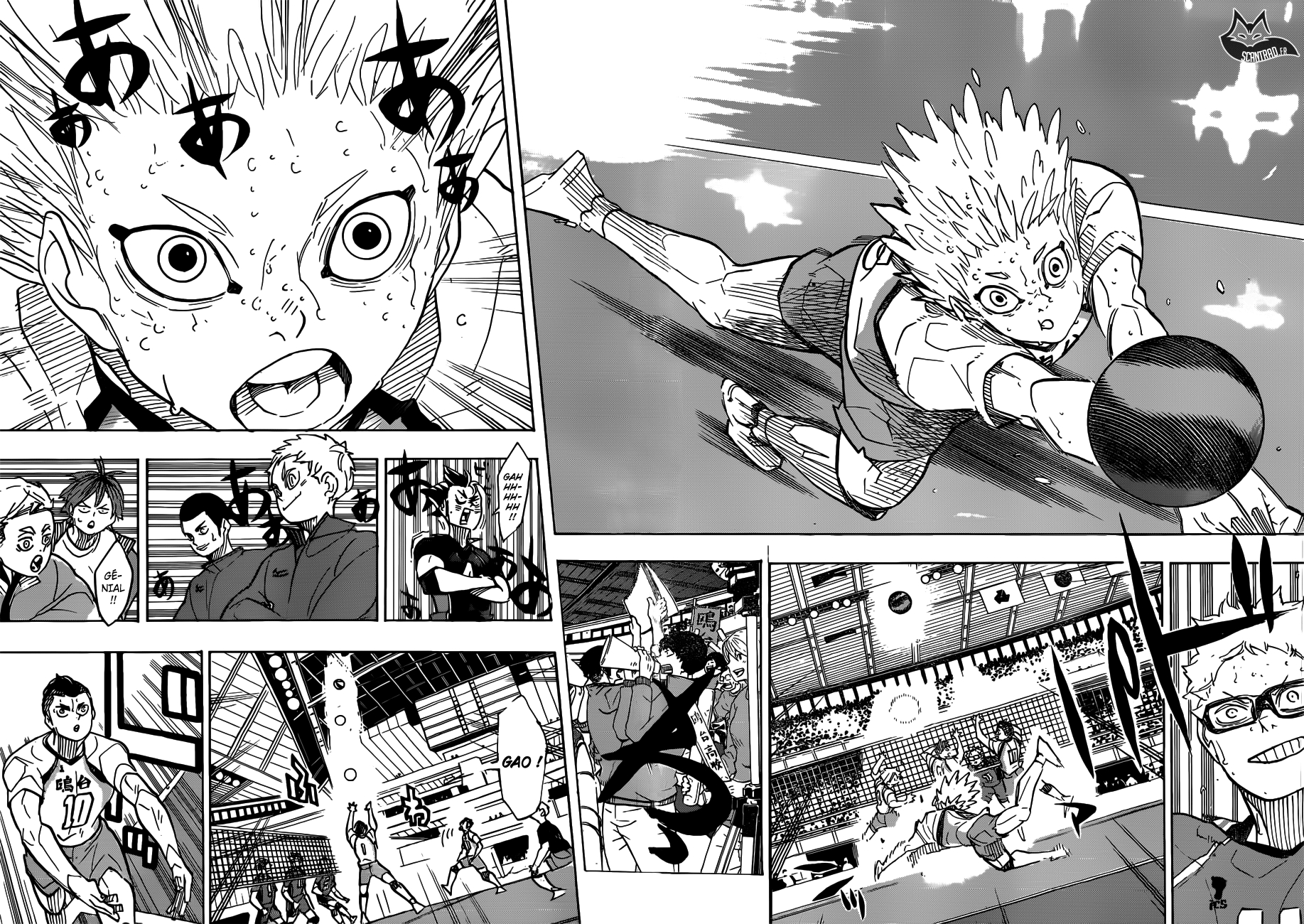 Read Haikyuu FR Manga Online