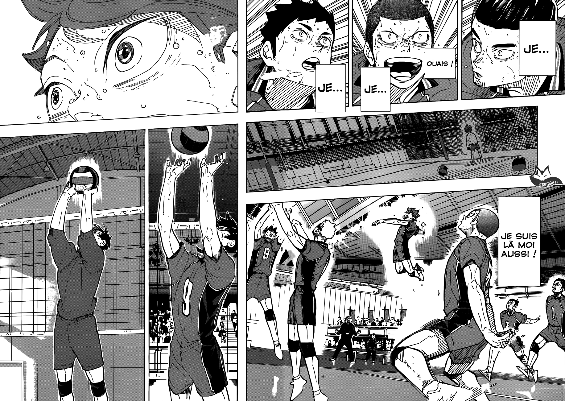 Read Haikyuu FR Manga Online