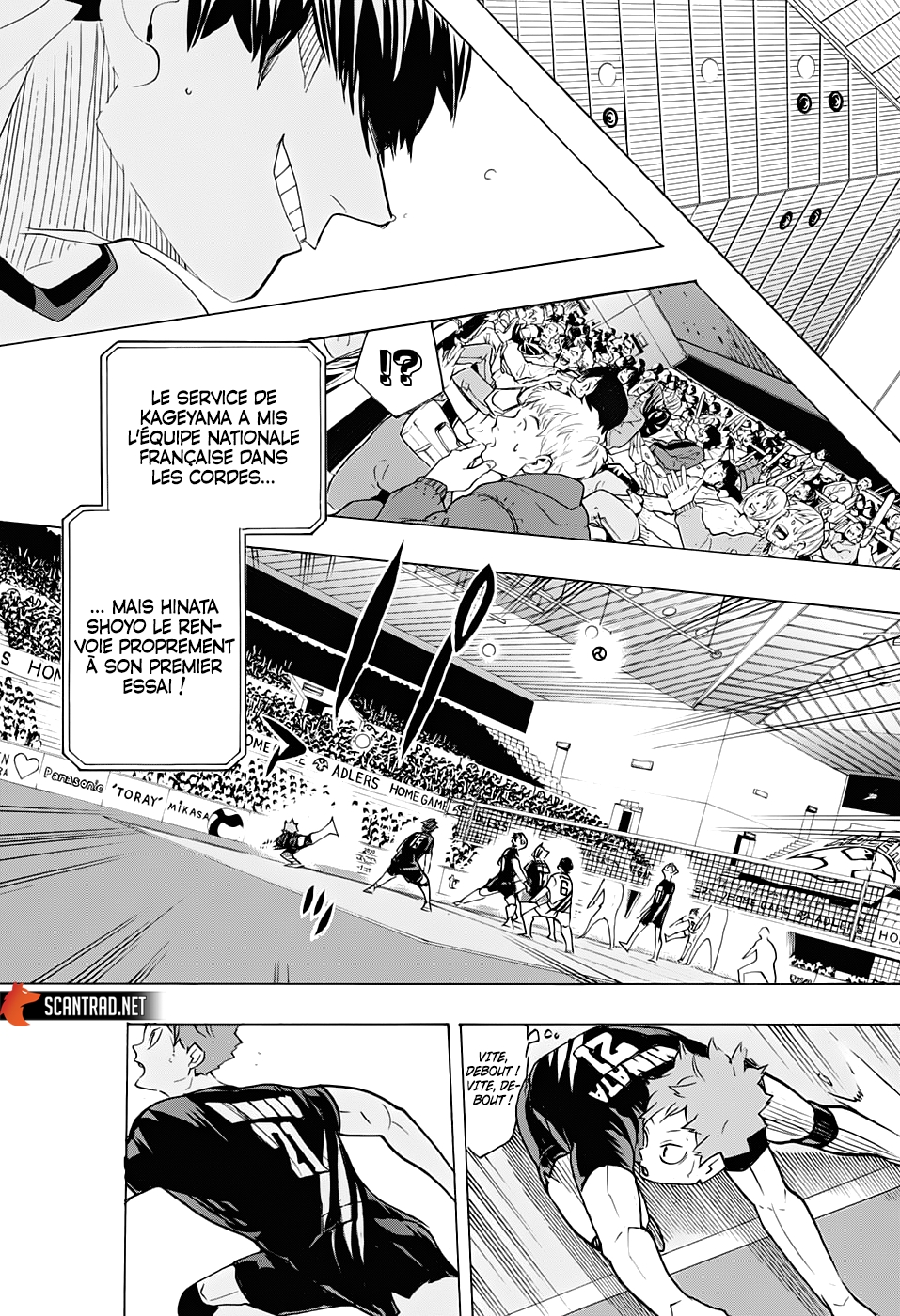 Read Haikyuu FR Manga Online