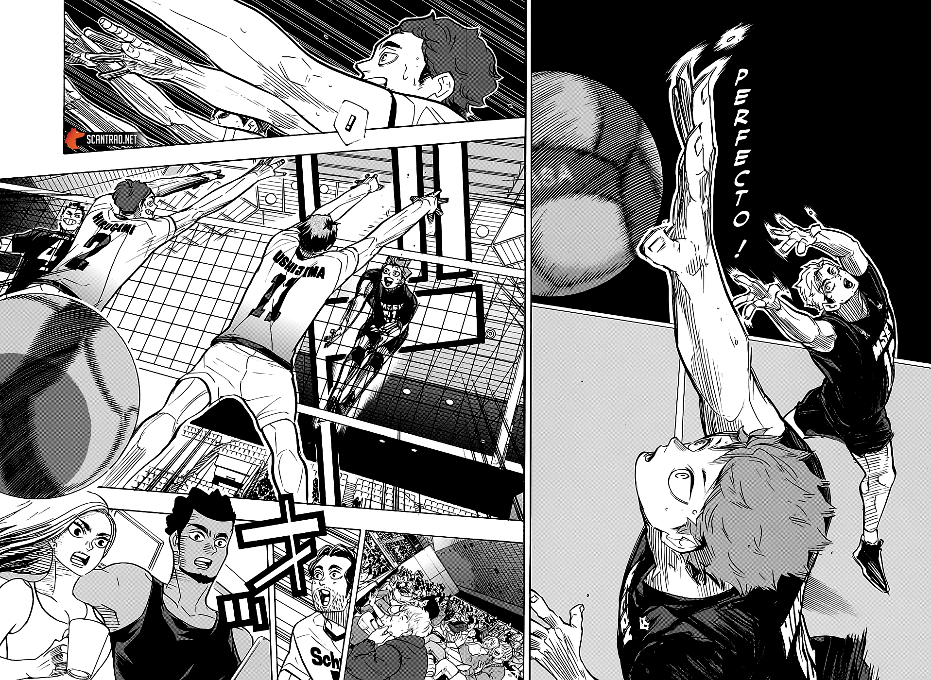 Read Haikyuu FR Manga Online
