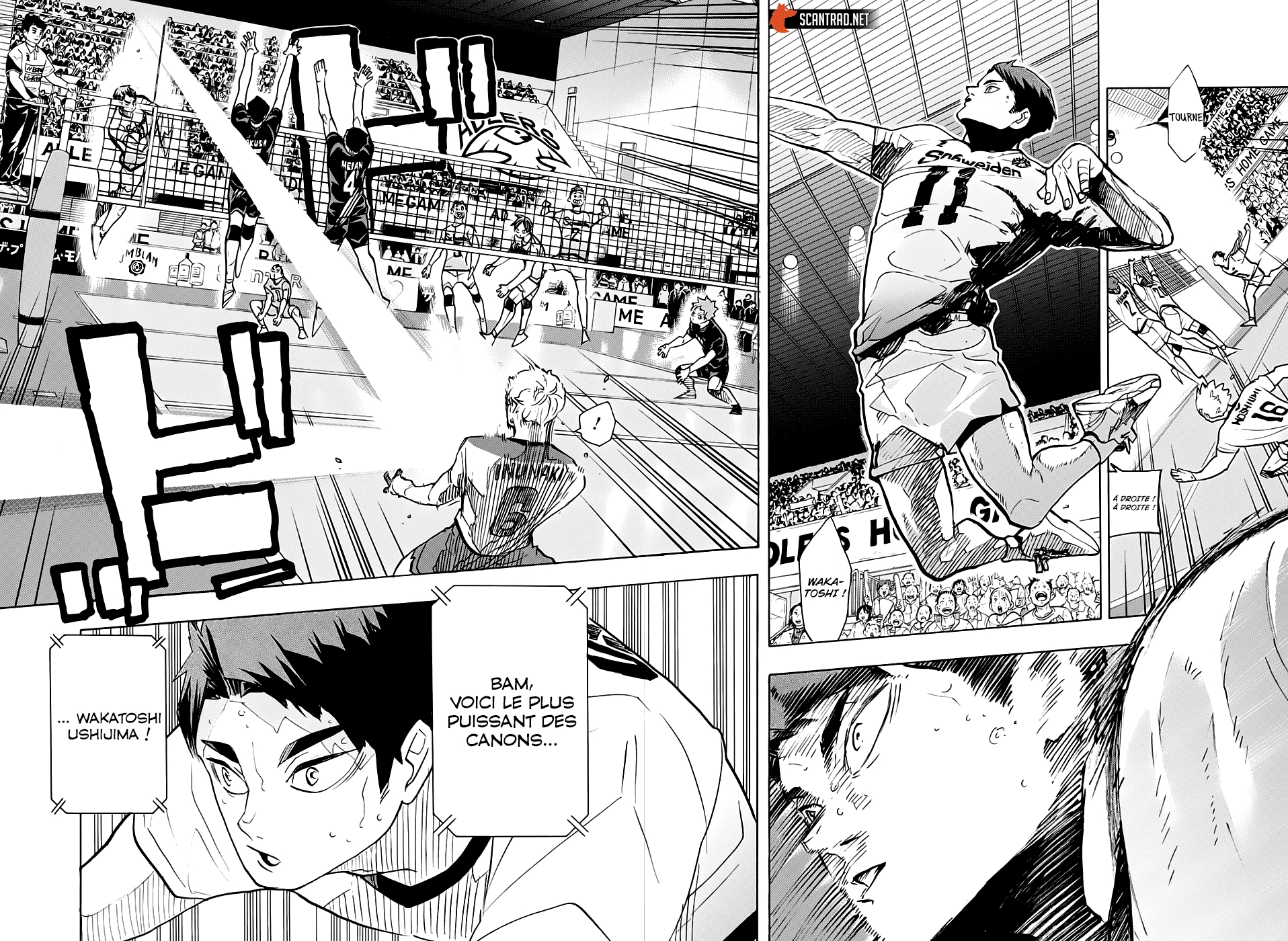 Read Haikyuu FR Manga Online