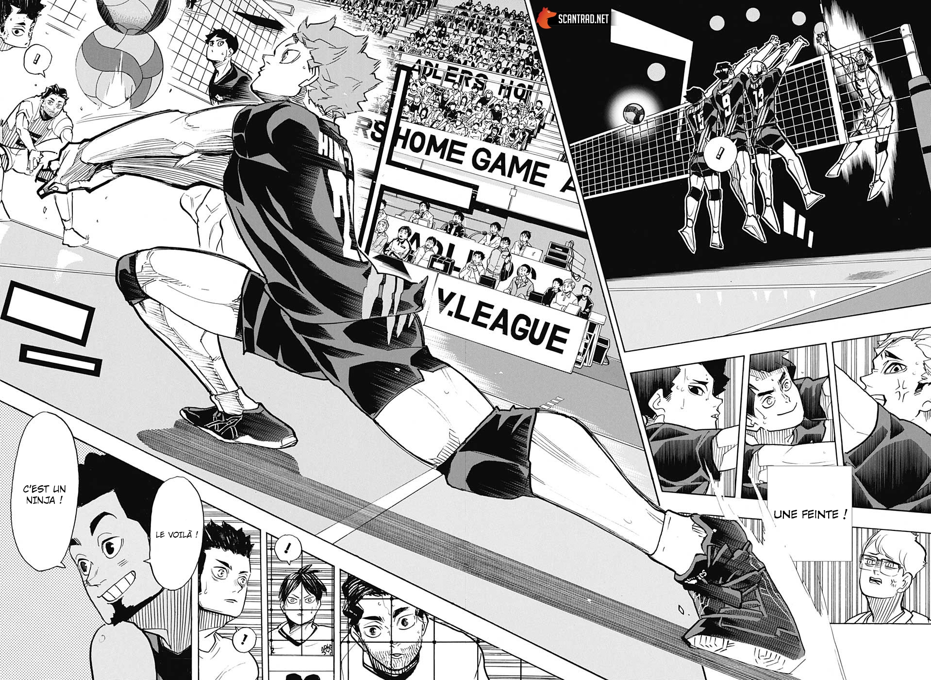 Read Haikyuu FR Manga Online