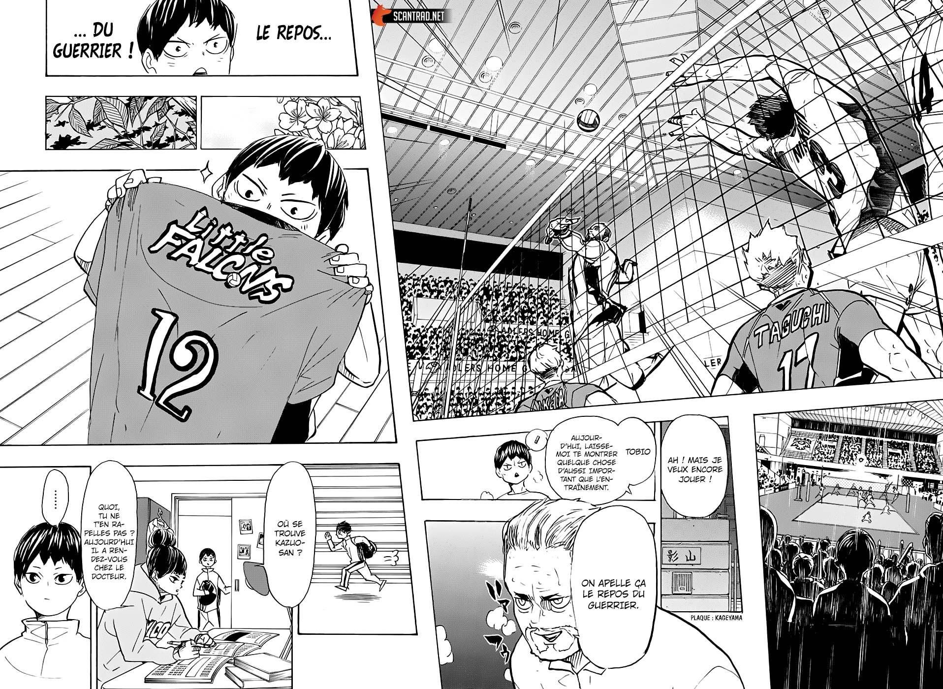 Read Haikyuu FR Manga Online