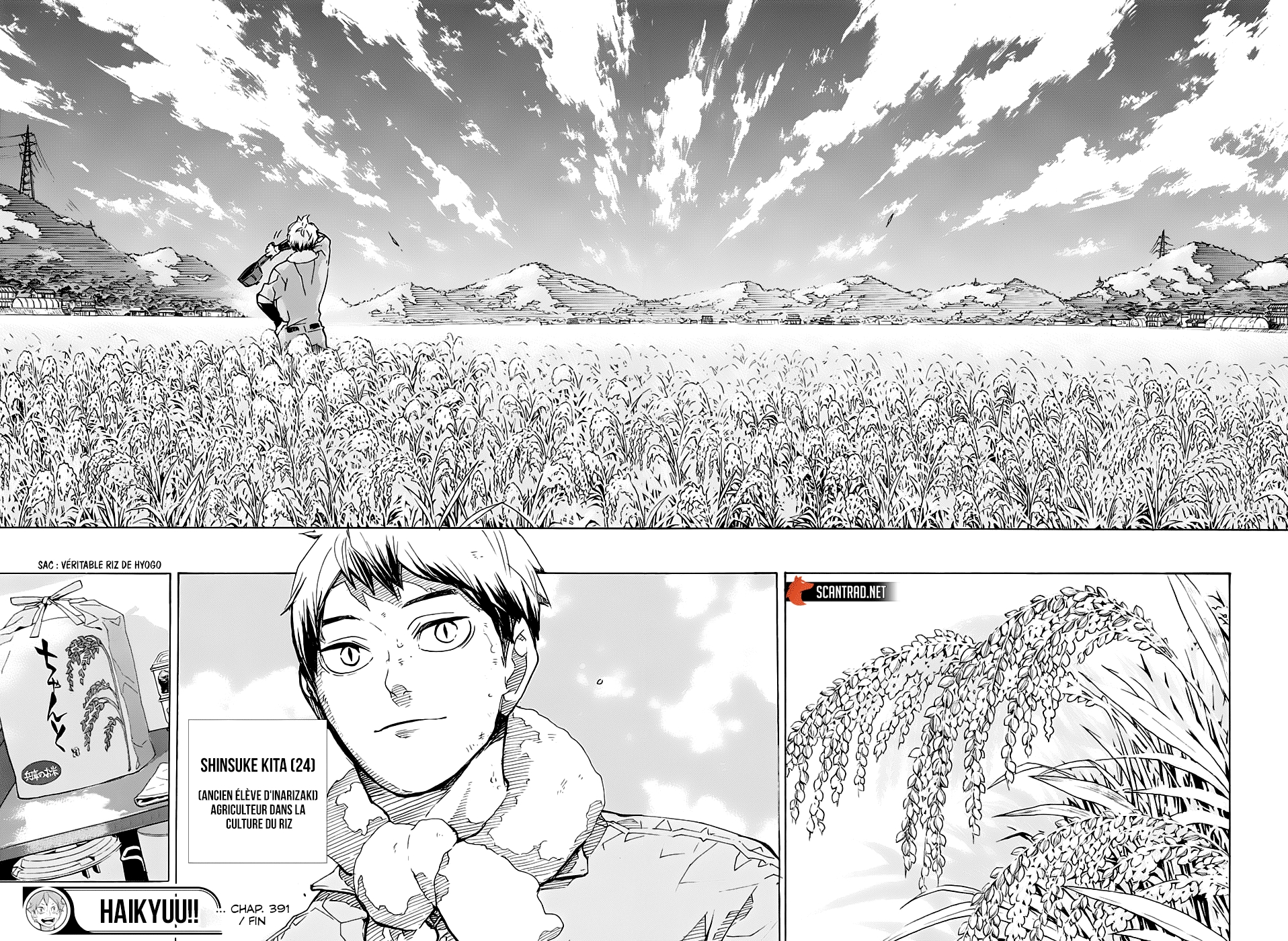 Read Haikyuu FR Manga Online