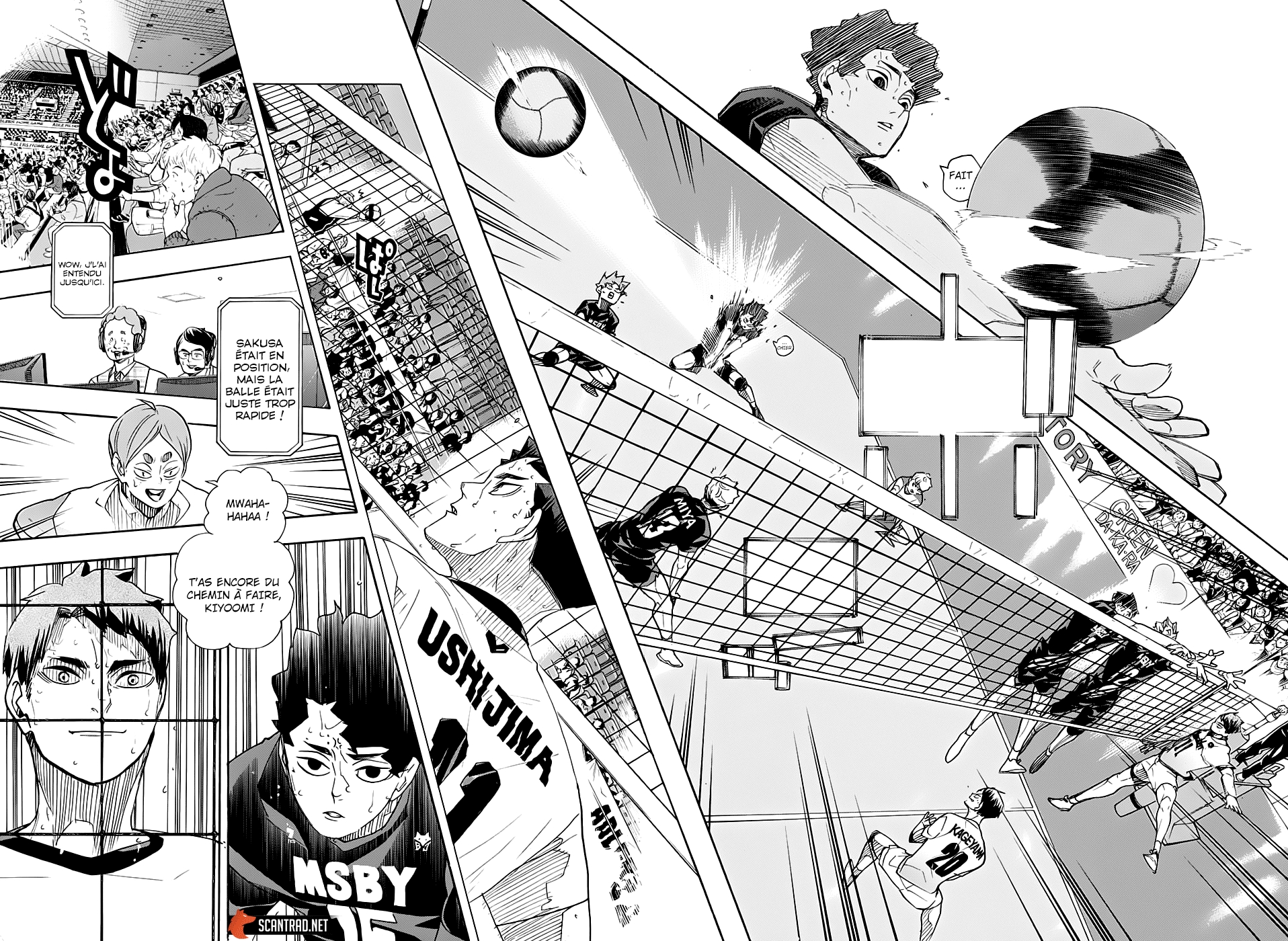 Read Haikyuu FR Manga Online