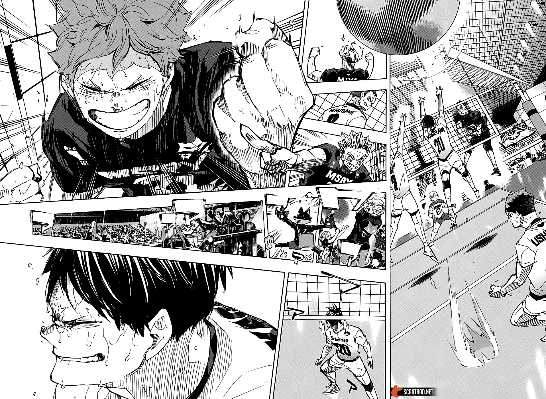 Read Haikyuu FR Manga Online