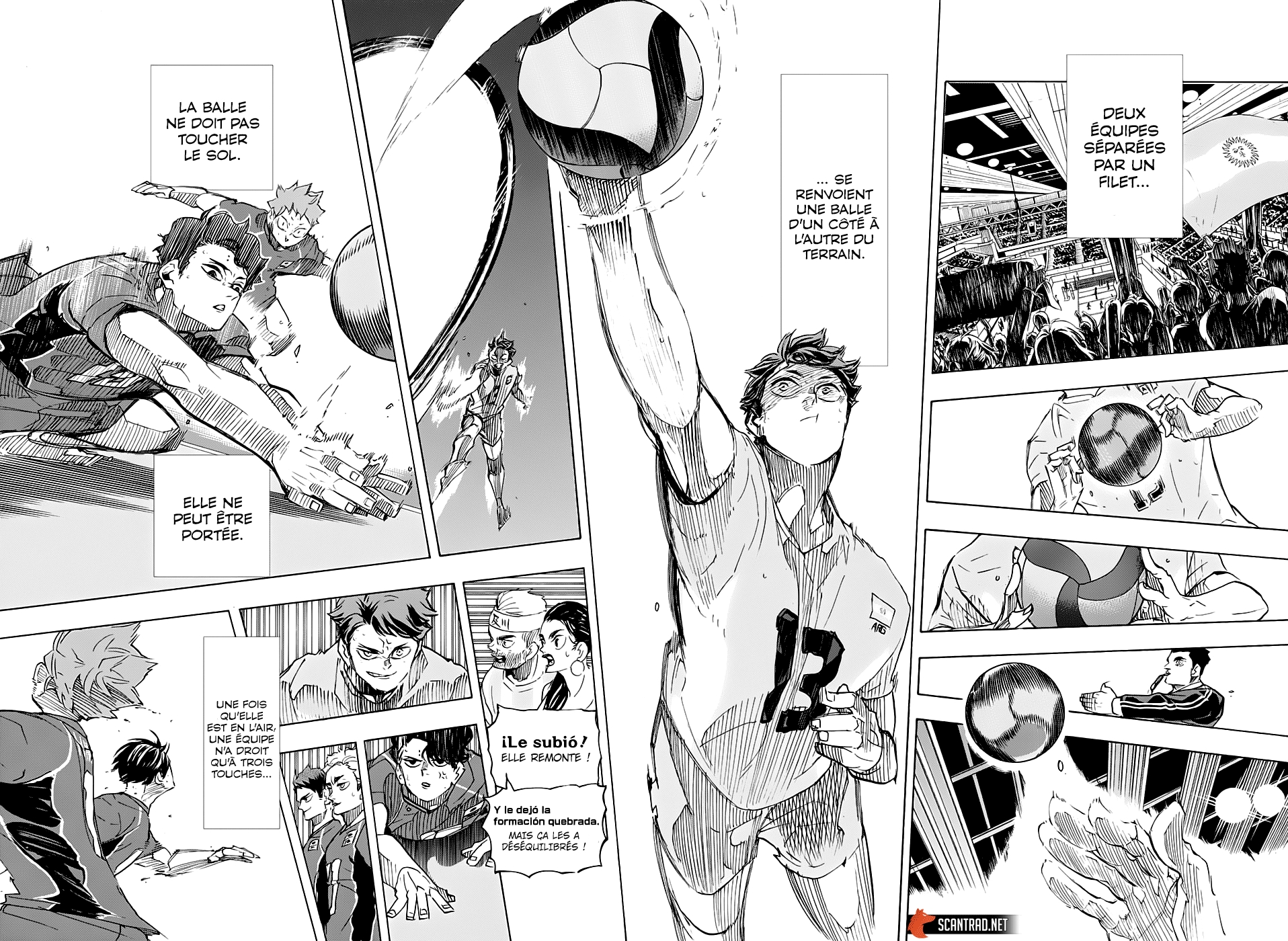 Read Haikyuu FR Manga Online